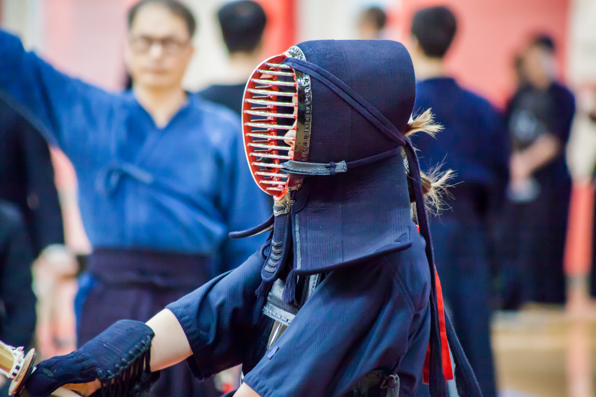 Canon EF 75-300mm f/4-5.6 USM sample photo. Bu kendo 2017 photography