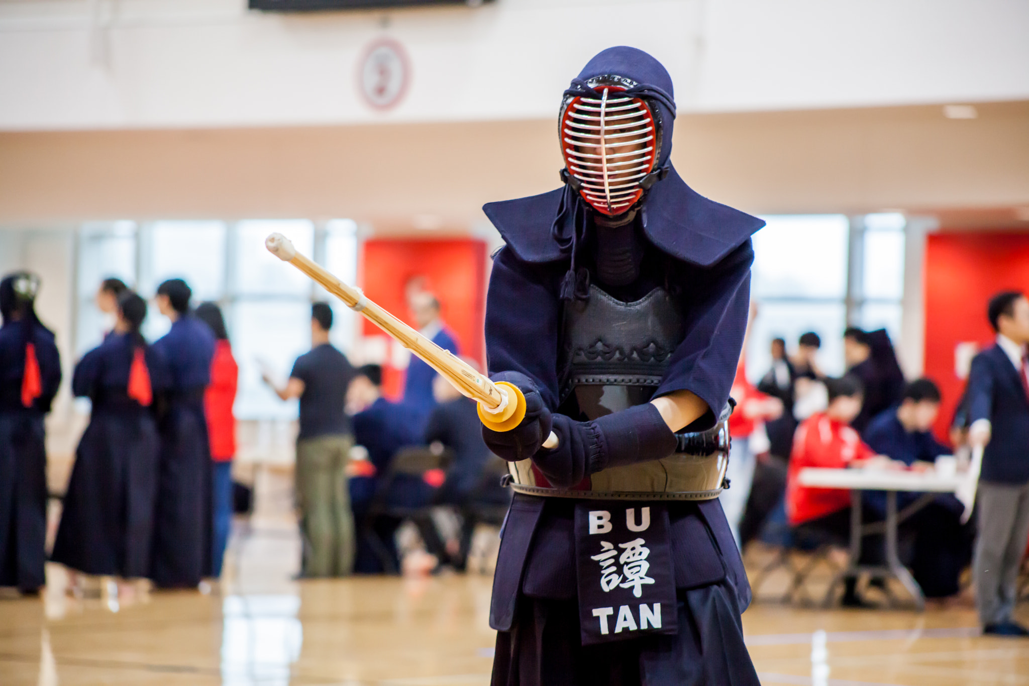 Canon EF 75-300mm f/4-5.6 USM sample photo. Bu kendo 2017 photography