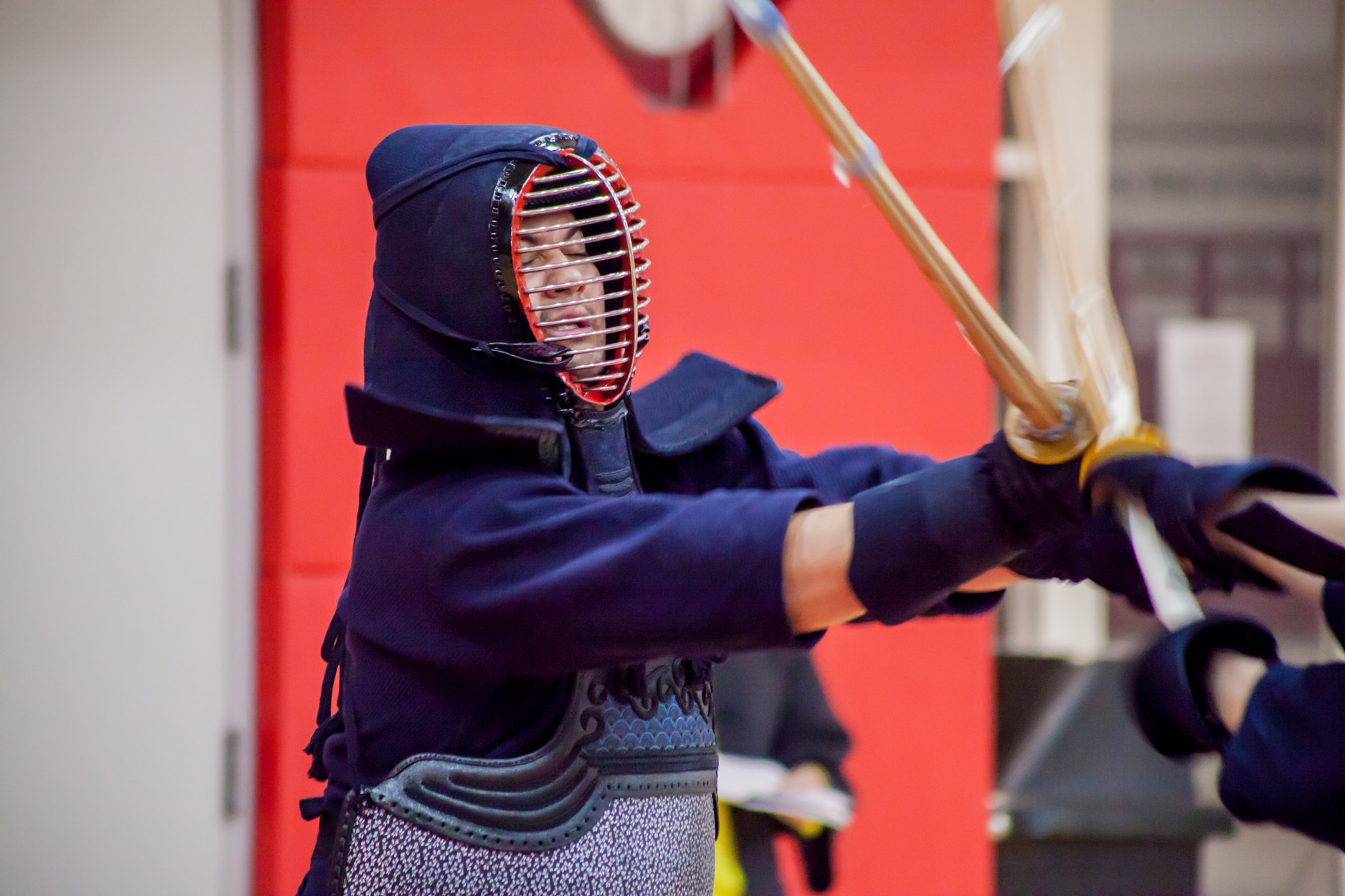 Canon EF 75-300mm f/4-5.6 USM sample photo. Bu kendo 2017 photography