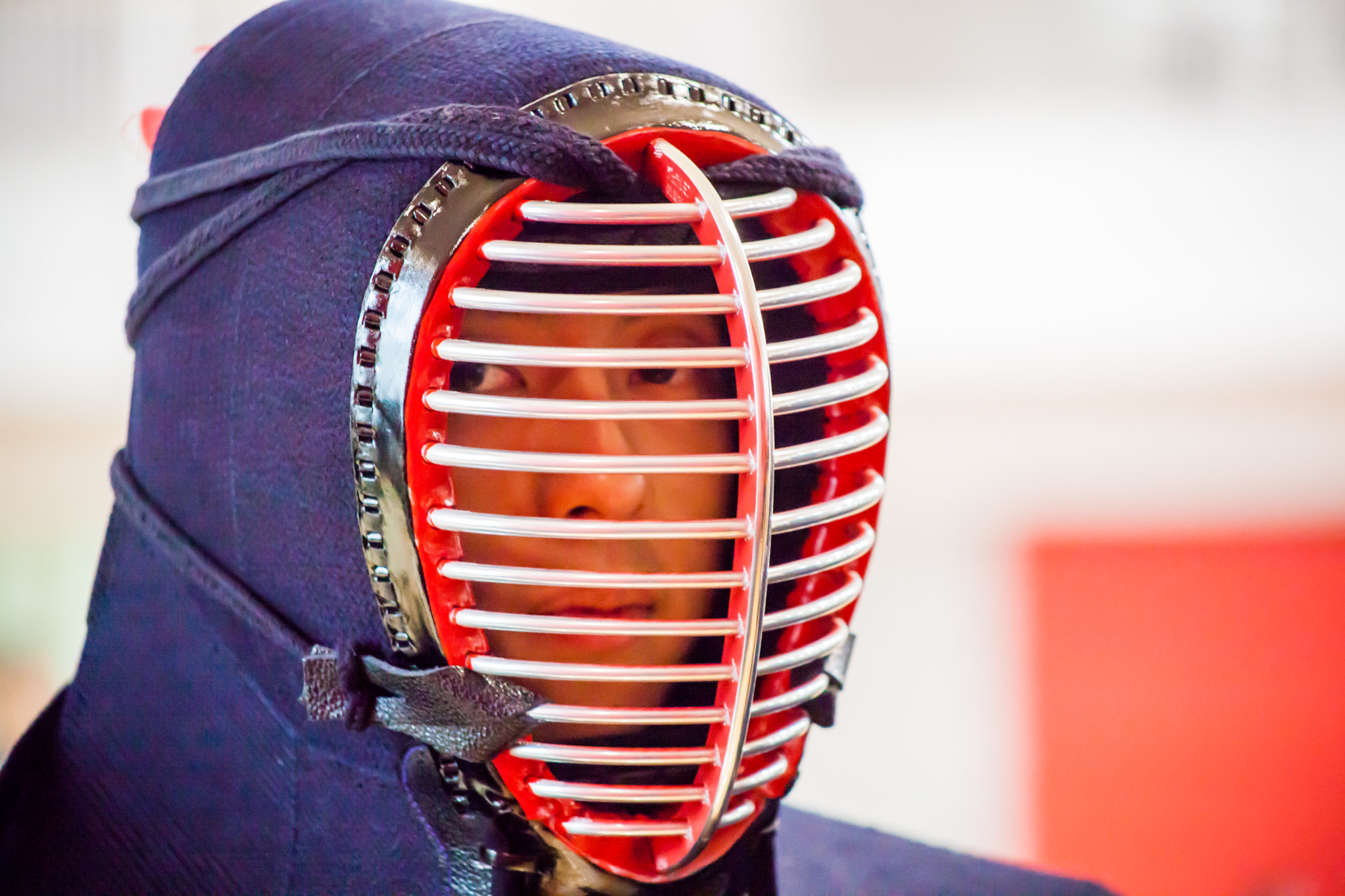 Canon EF 75-300mm f/4-5.6 USM sample photo. Bu kendo 2017 photography