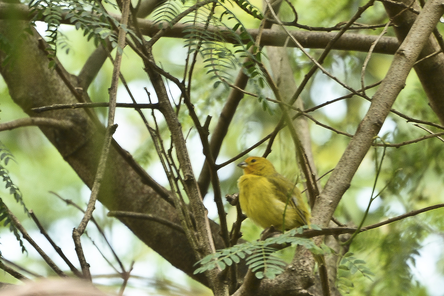 Nikon D7100 sample photo. Em harmonia com a natureza. photography