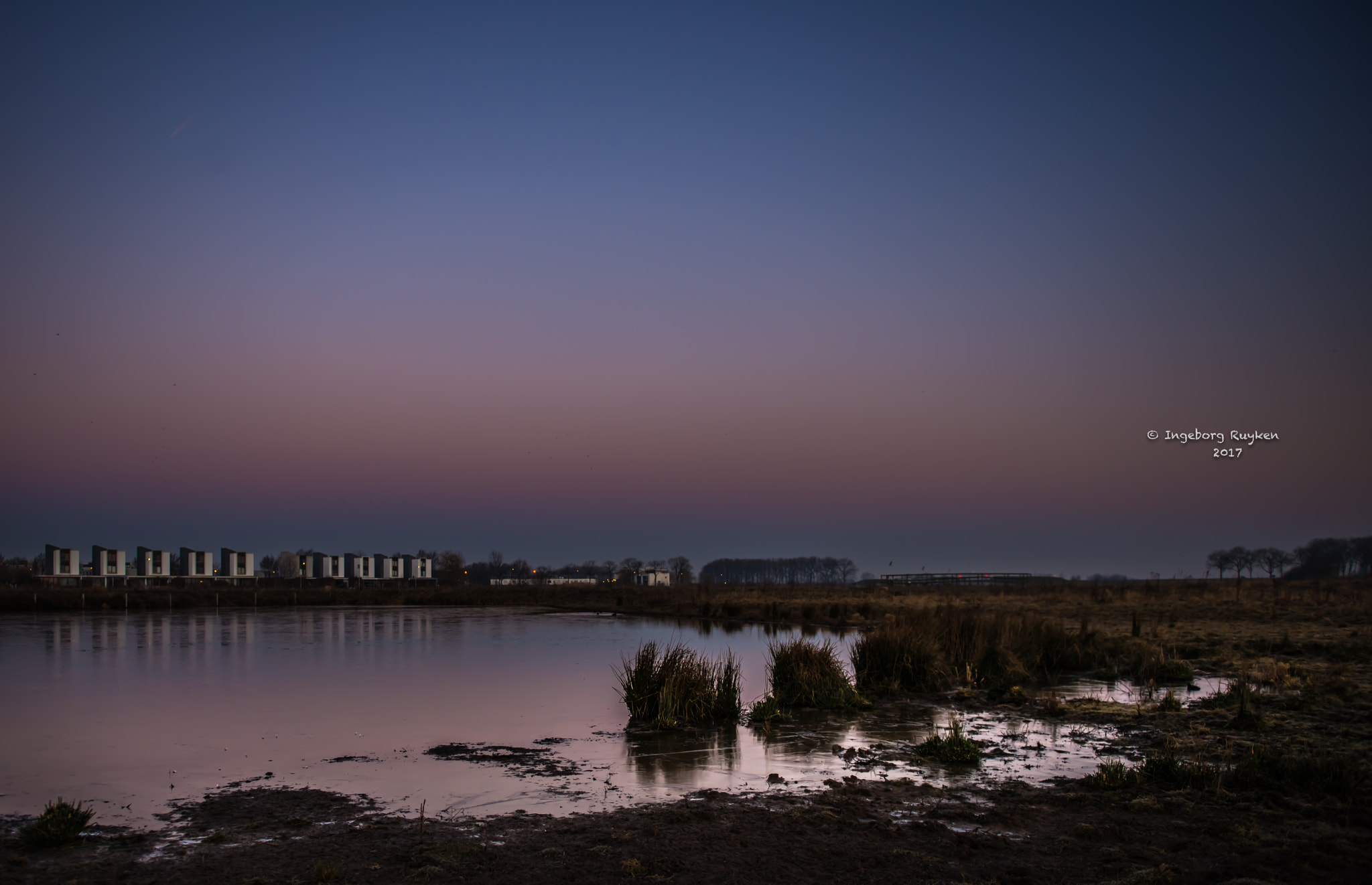 Nikon D800 sample photo. The wetlands of empel photography