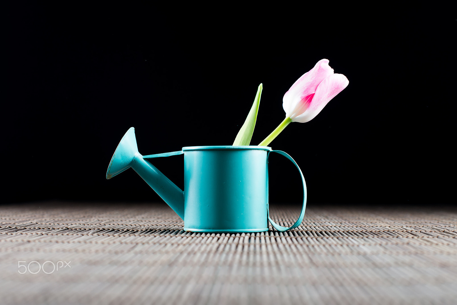 Nikon D600 + Nikon AF-S Nikkor 50mm F1.4G sample photo. Edgars leonovs photography
