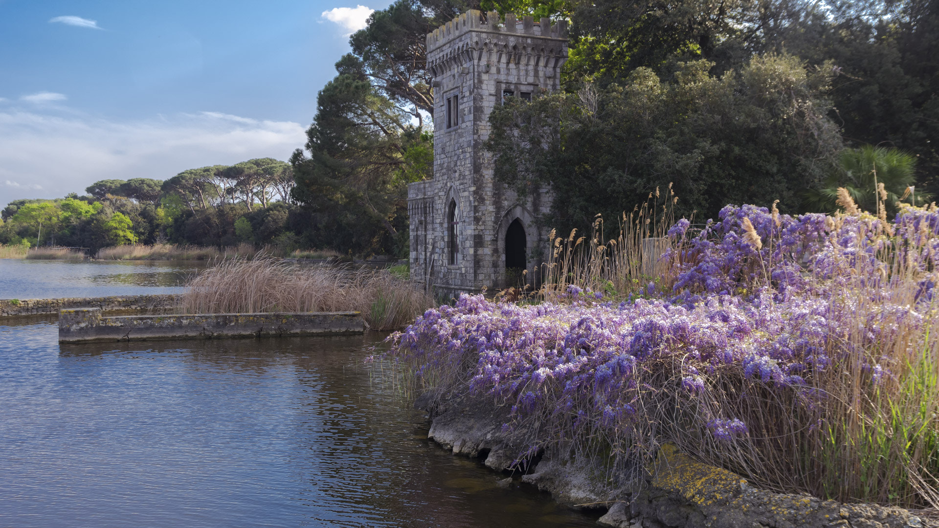 Pentax K-5 sample photo. Torre del lago puccini photography