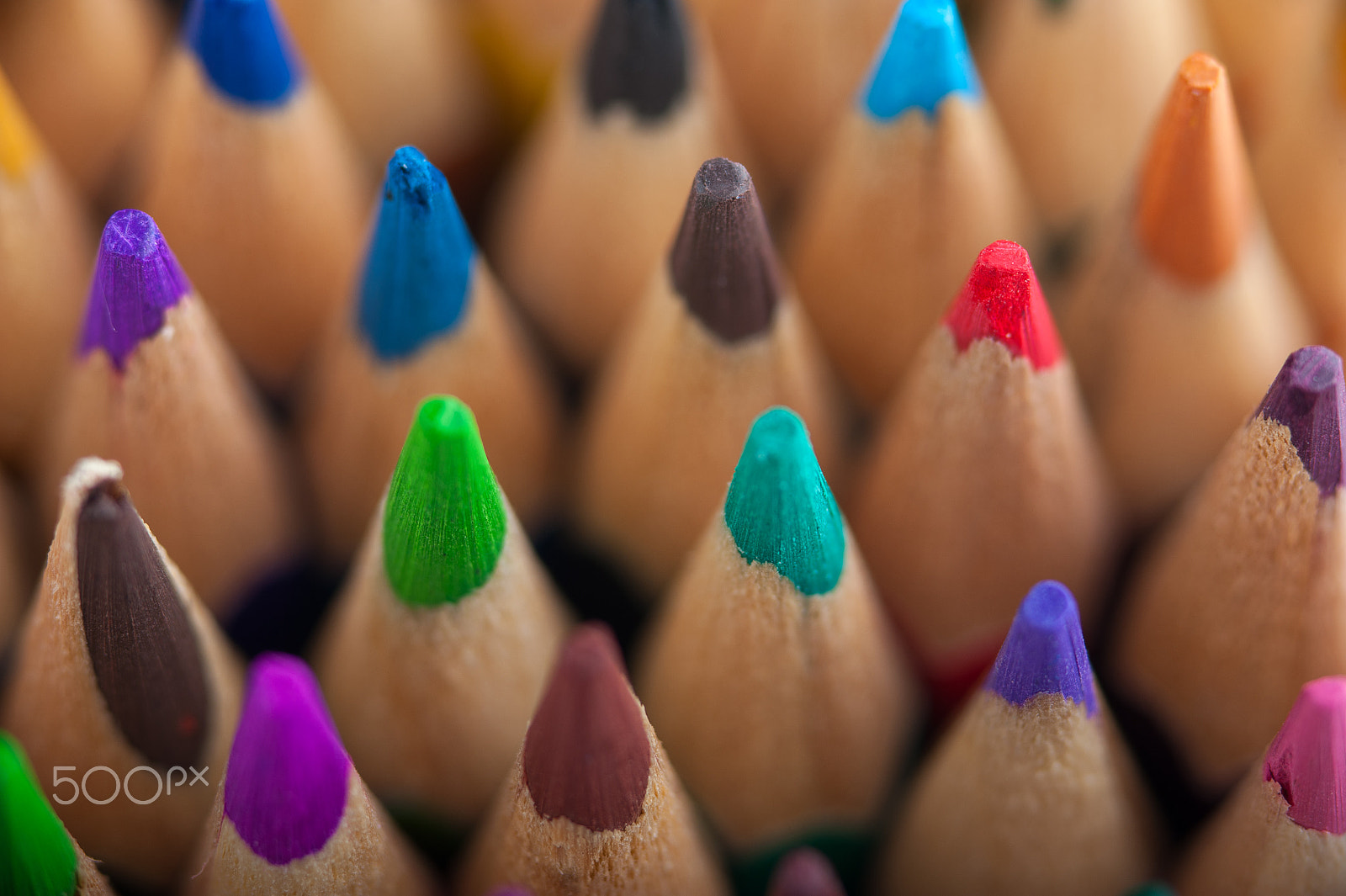 Nikon D700 + AF Micro-Nikkor 105mm f/2.8 sample photo. Group of multicolored wooden crayons photography