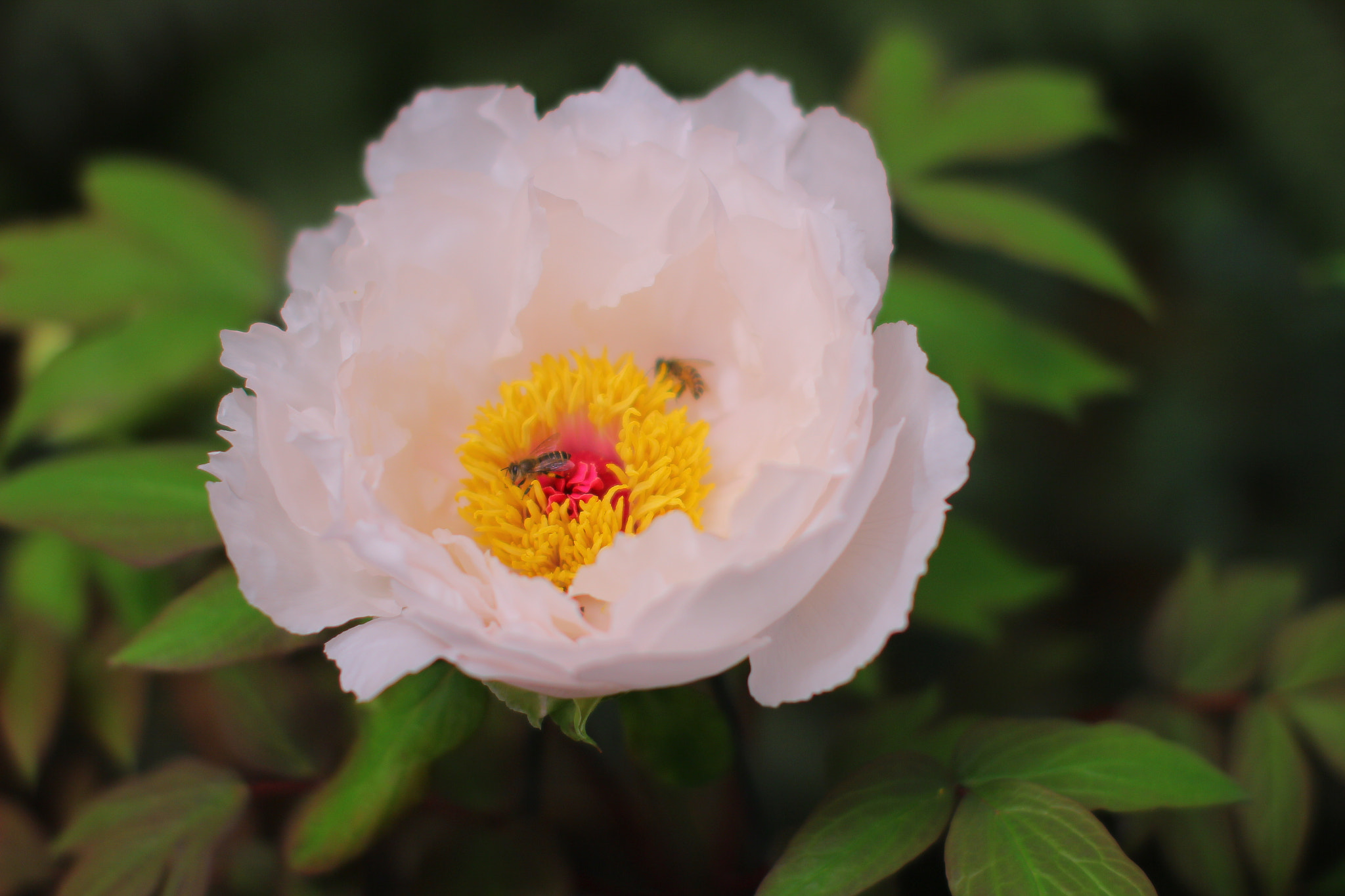 Sigma 50mm F1.4 EX DG HSM sample photo. Img photography