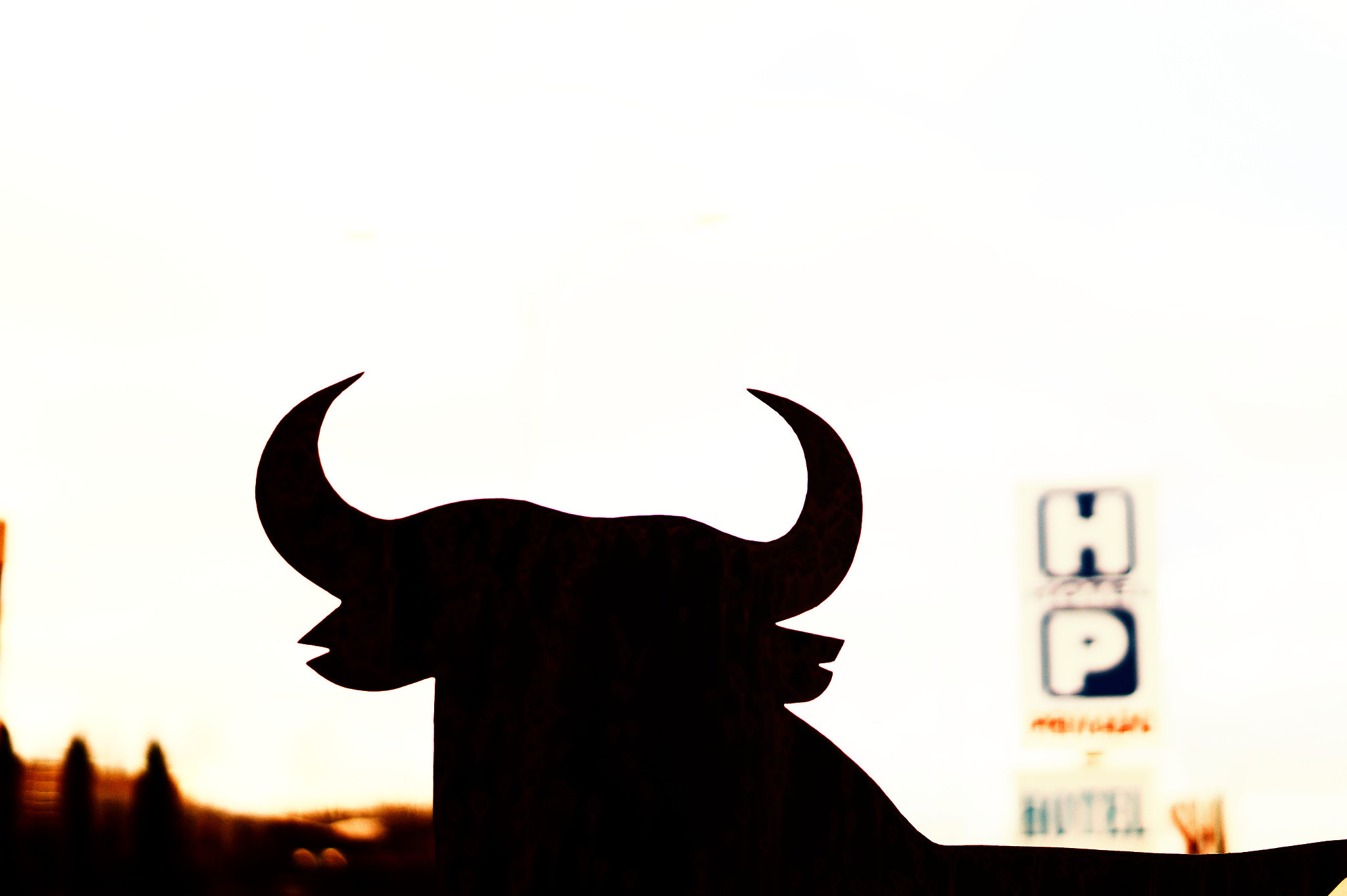 Sony SLT-A58 + Sony DT 50mm F1.8 SAM sample photo. Bull photography