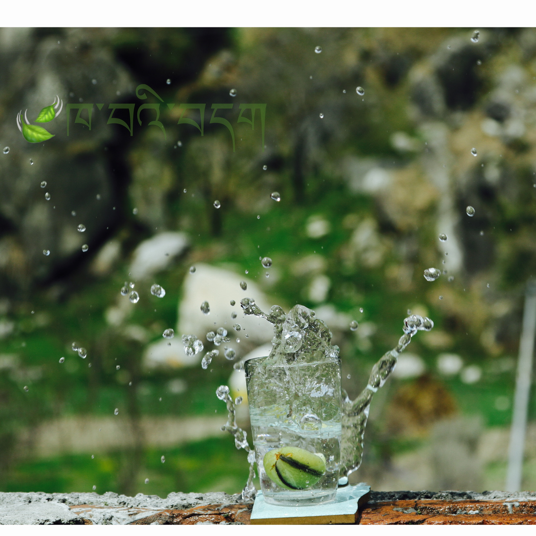 Canon EF 24-105mm F4L IS USM sample photo. ཆུའི་རོལ་རྩེད། photography