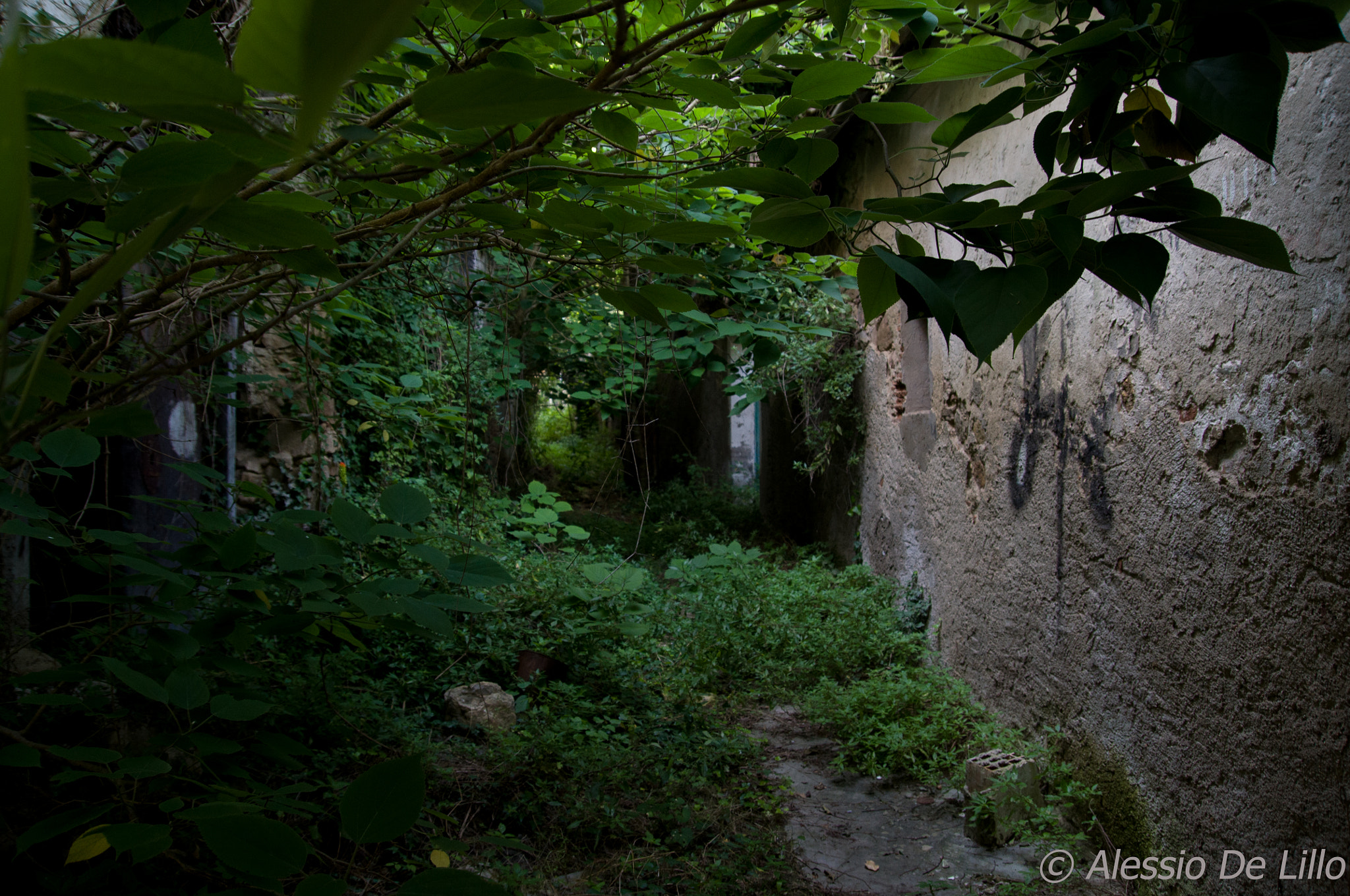 Nikon D90 sample photo. Urban desolation photography