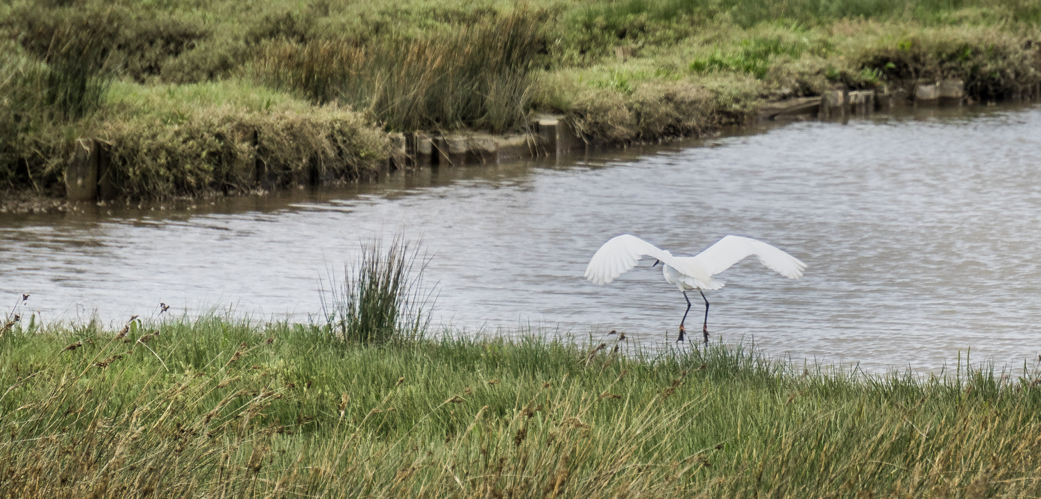 Sony a7R sample photo. Atterrissage, quelque part ... photography