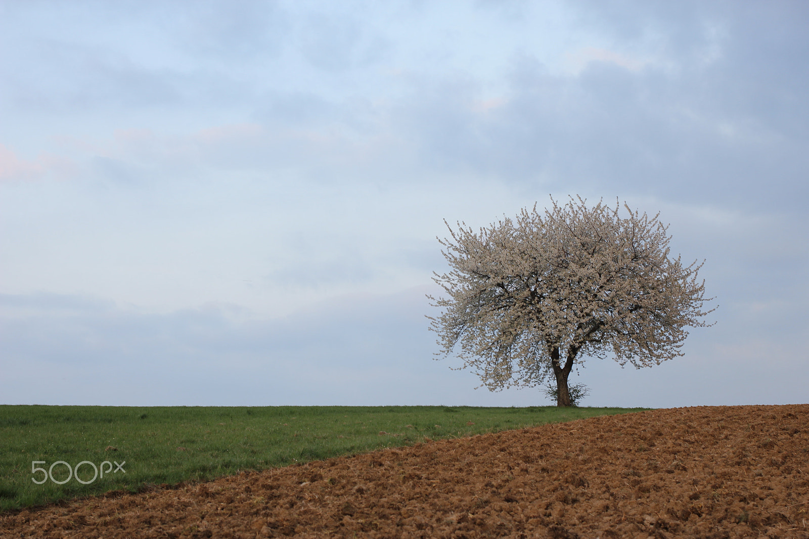 Canon EOS 60D + Canon EF 40mm F2.8 STM sample photo. Landscape of an field photography