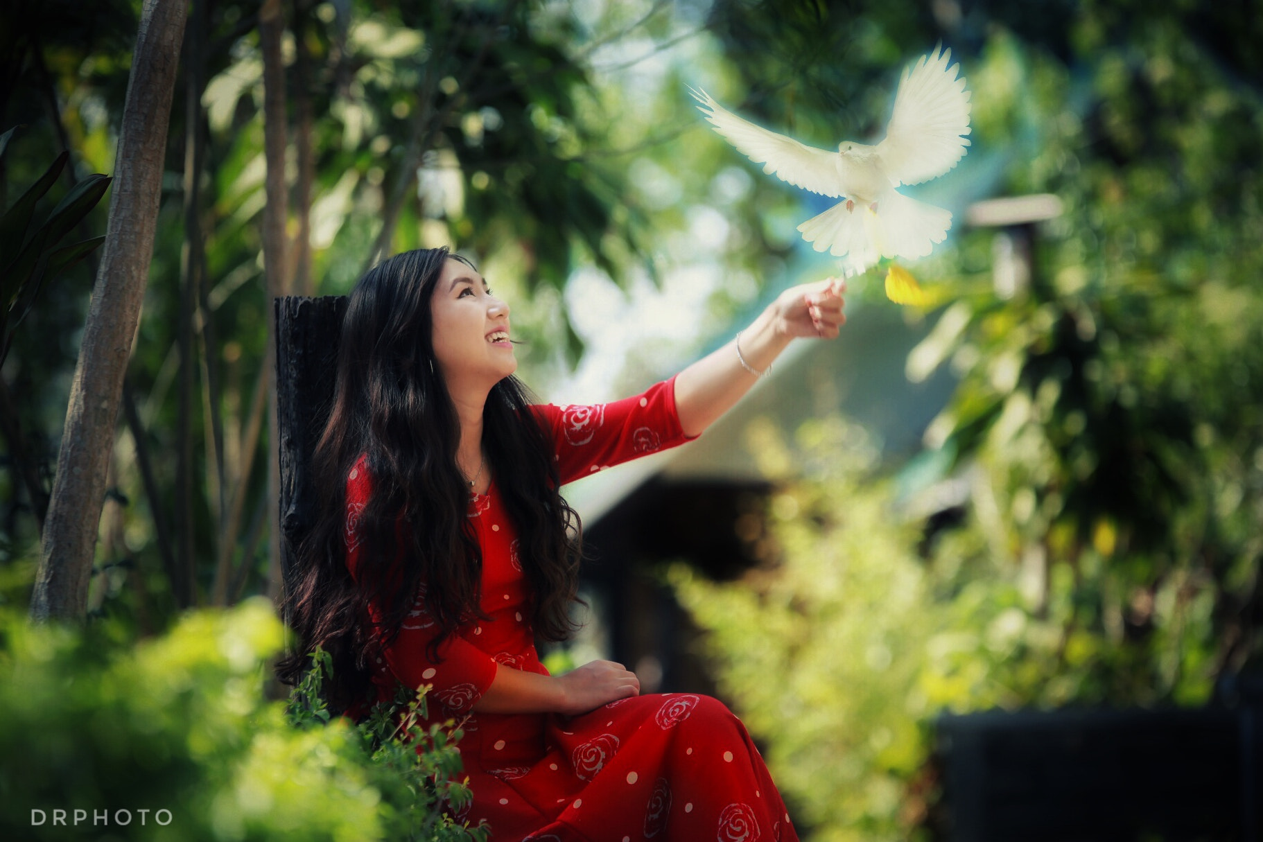 Canon 70-200mm sample photo. Peace photography