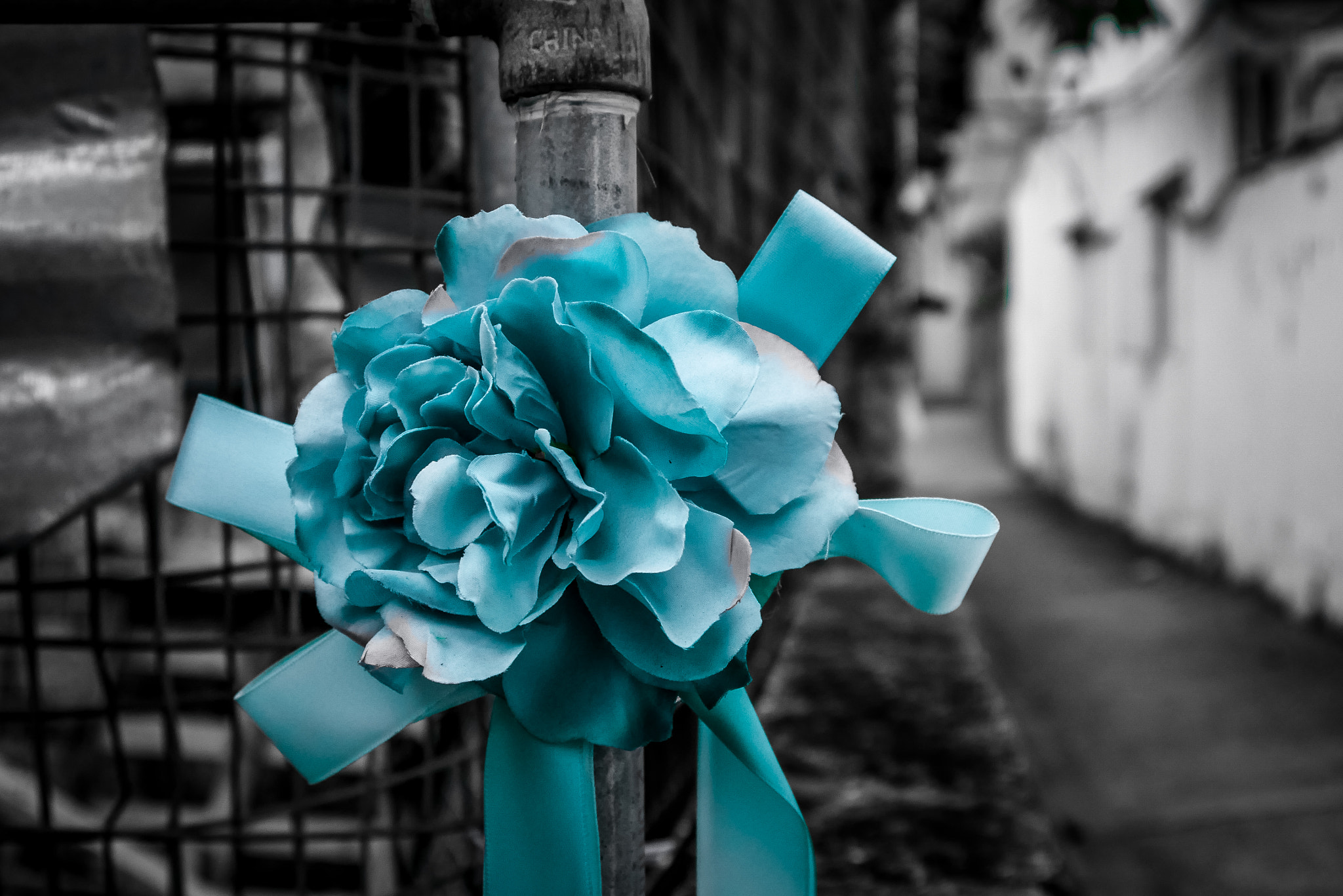 Panasonic Lumix DMC-G7 sample photo. Ribbon photography