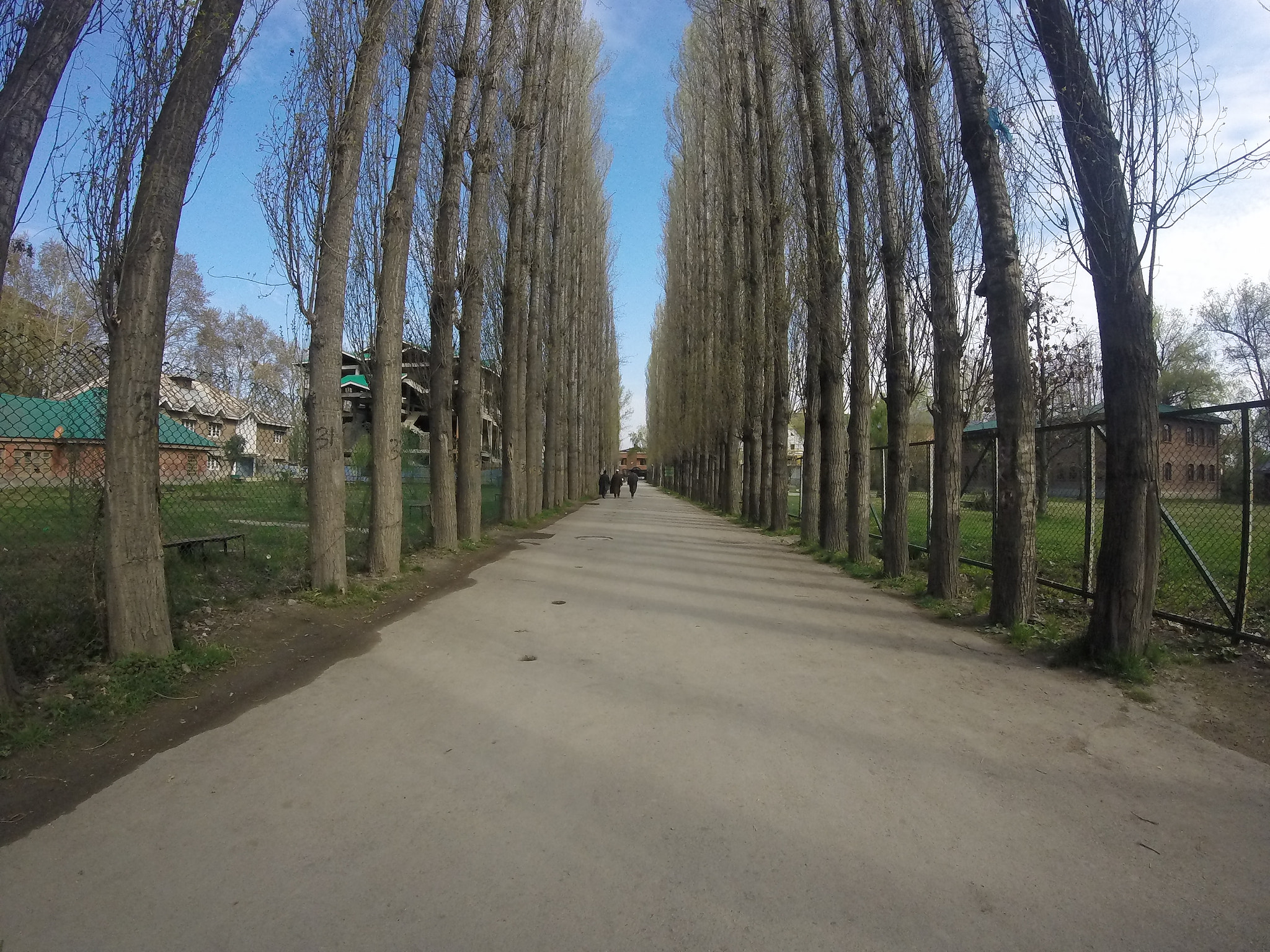 GoPro HERO sample photo. College corridors photography