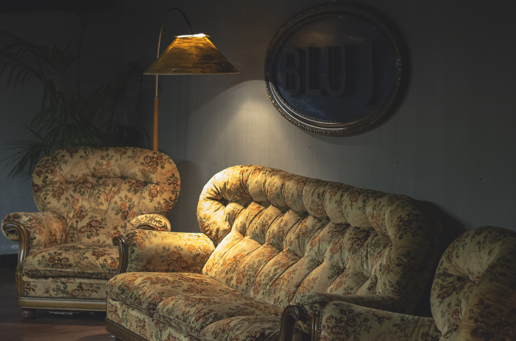 Nikon D7100 + Nikon AF-S Nikkor 50mm F1.8G sample photo. Bluj couch photography