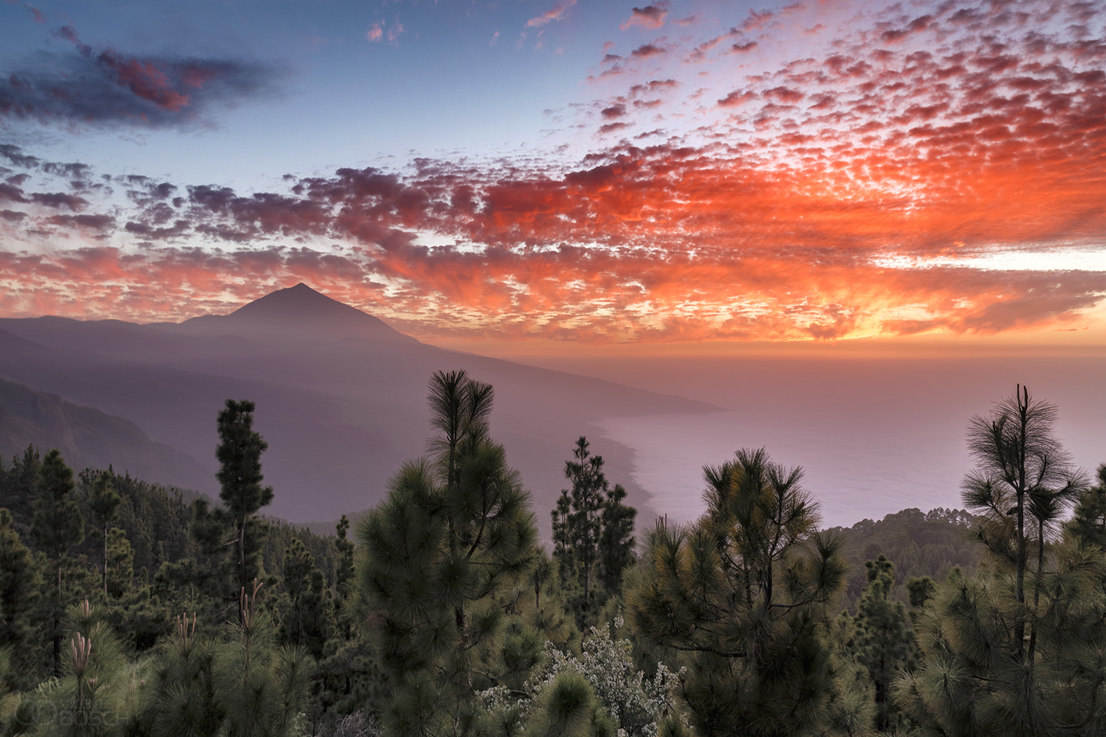 Canon EOS 6D + Sigma 24-70mm F2.8 EX DG Macro sample photo. Red sunset photography