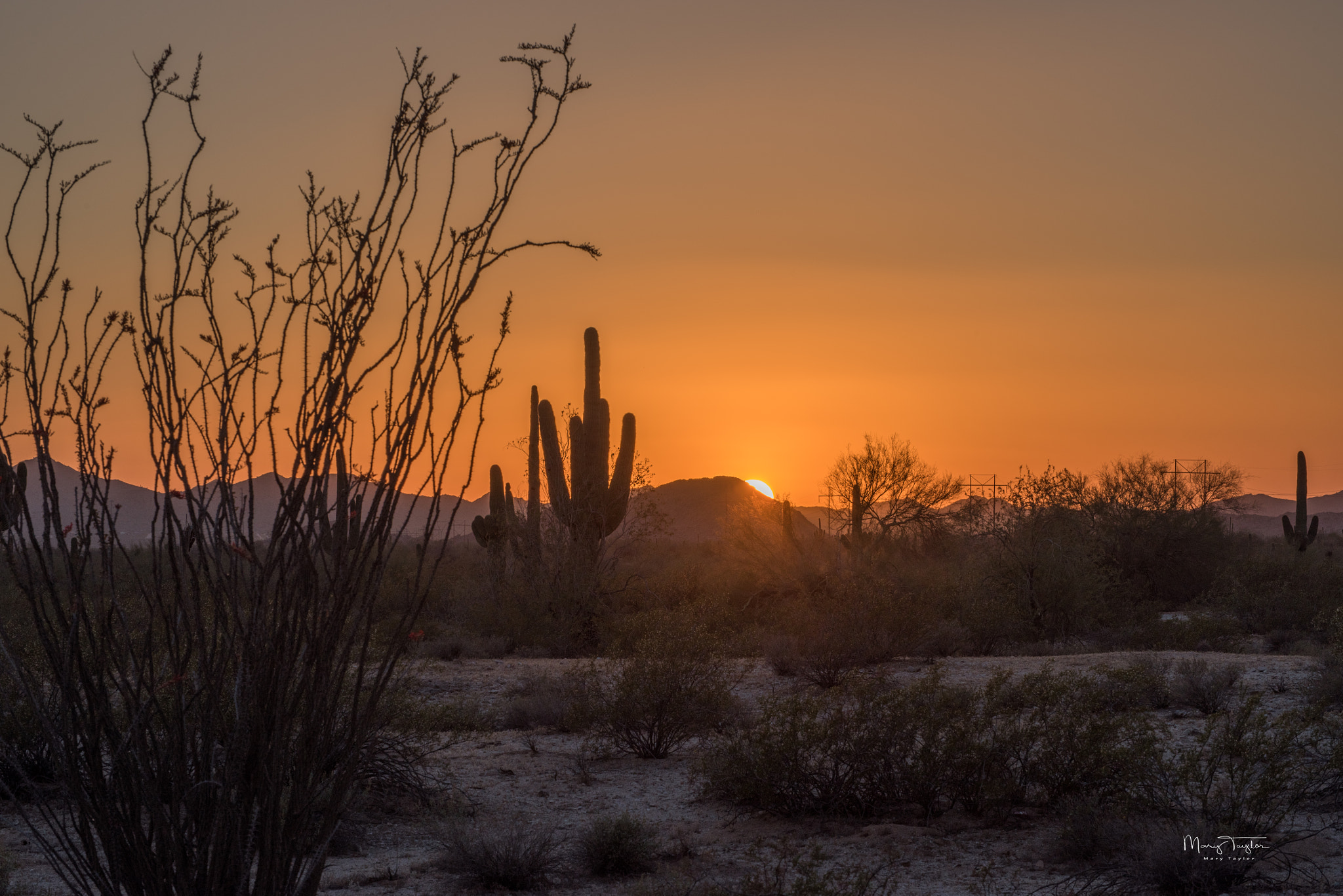 Nikon D810 sample photo. Last light photography
