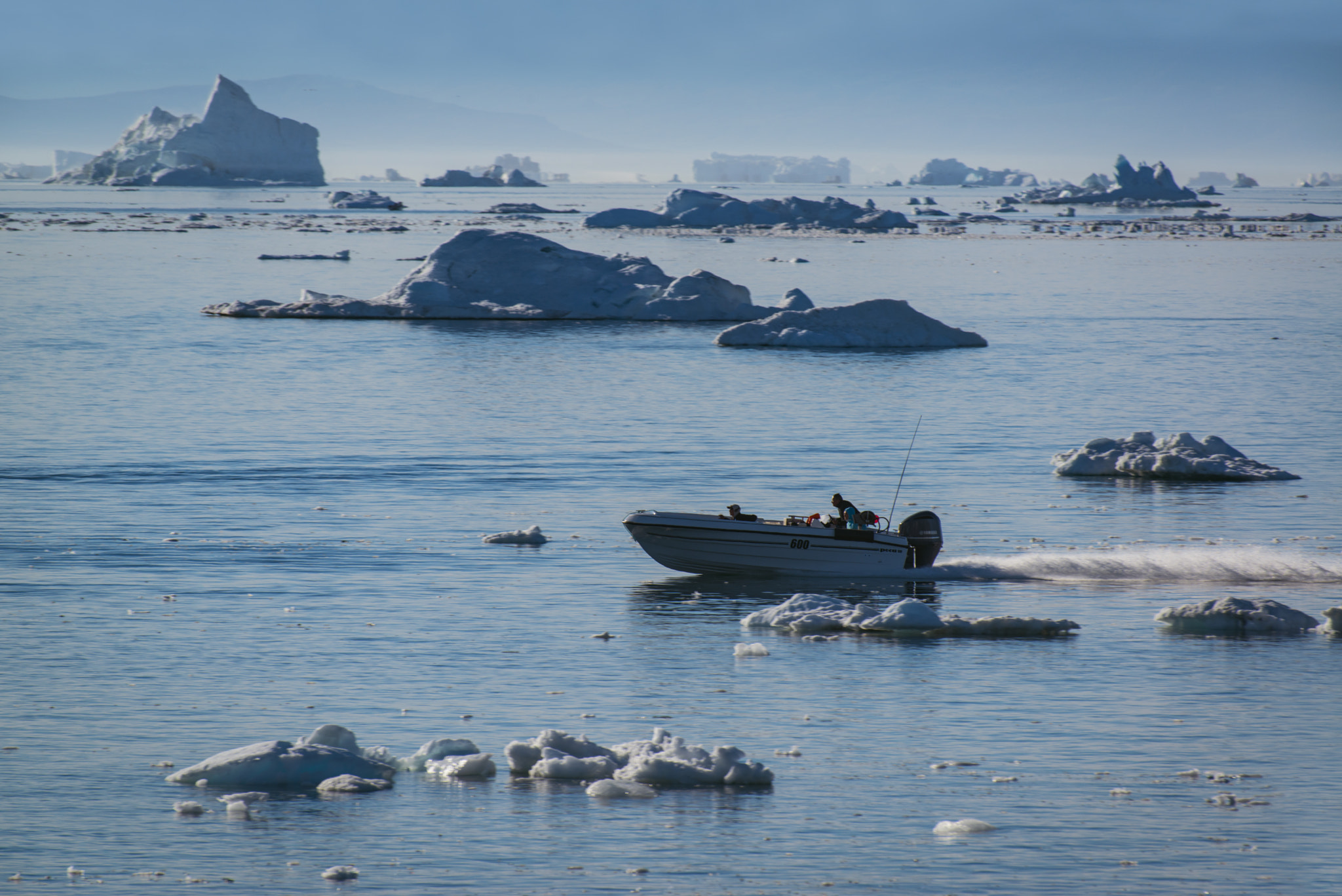 Nikon D800 sample photo. Racing among the icebergs photography