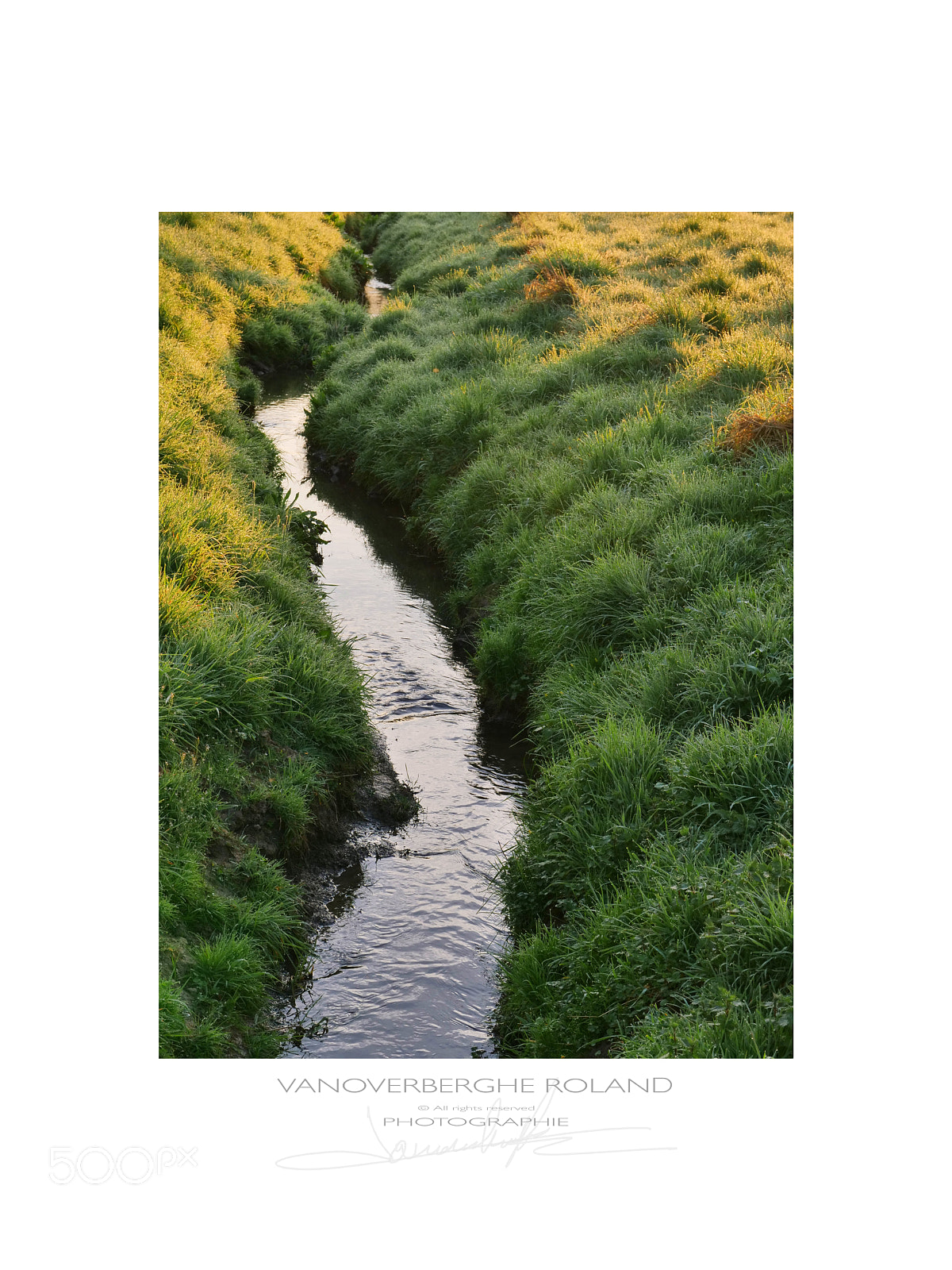 Panasonic Leica DG Nocticron 42.5mm F1.2 ASPH OIS sample photo. A l'aube du ruisseau photography