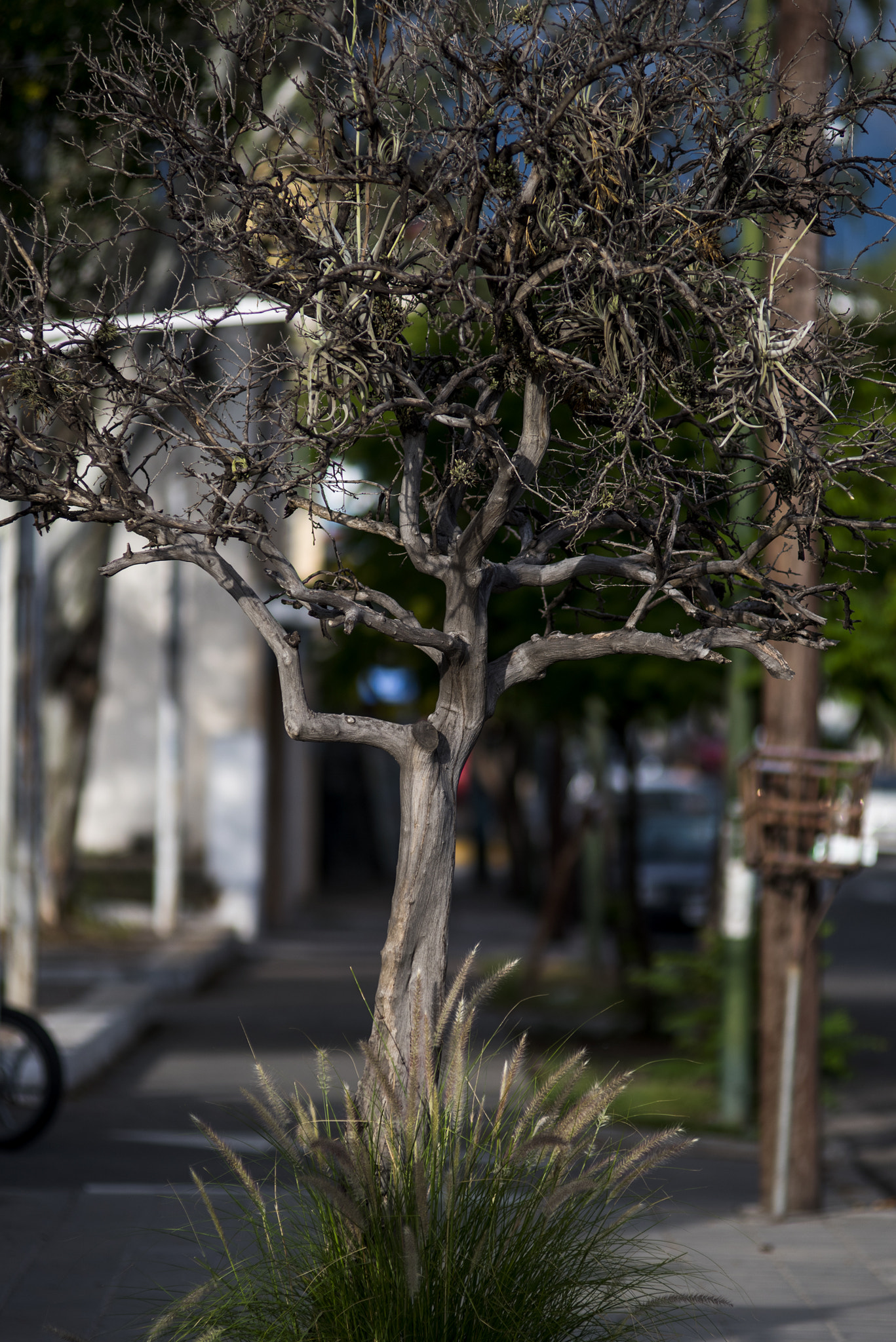 Nikon AF-Nikkor 80-200mm F2.8D ED sample photo. Mapas i photography