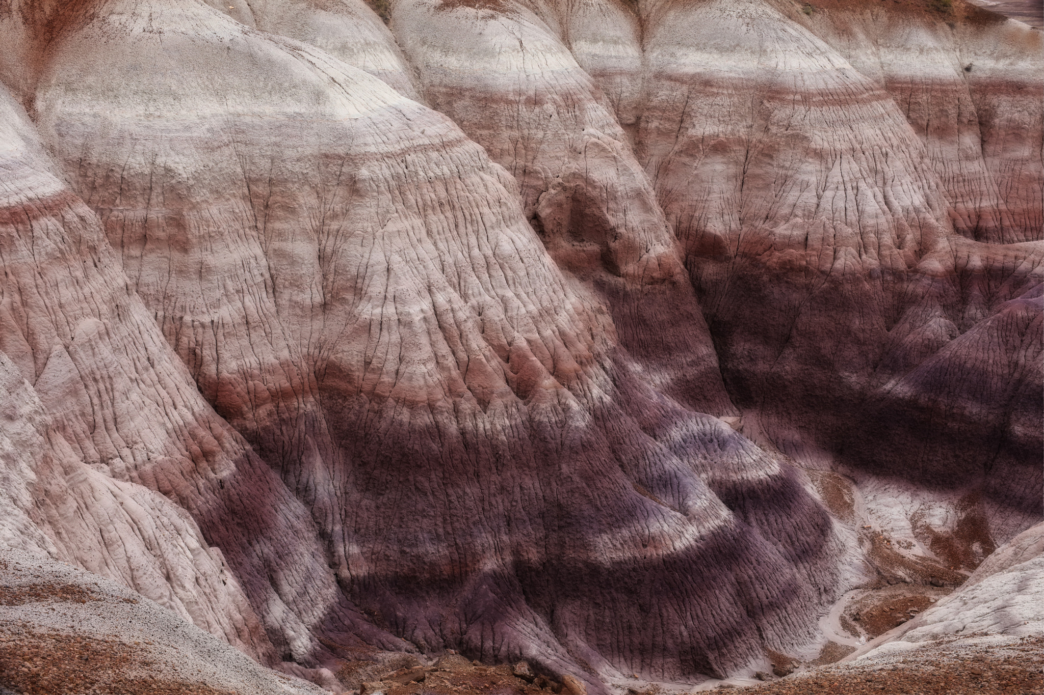 Canon EOS 5DS R sample photo. Arizona: painted desert photography