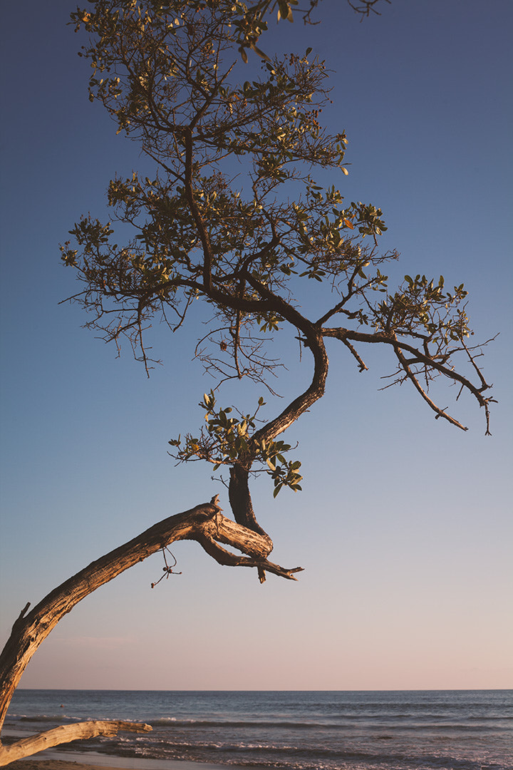 Canon EOS 5D Mark II sample photo. Costa rica focus aventure julia laffaille paysage playa negra sunset photography