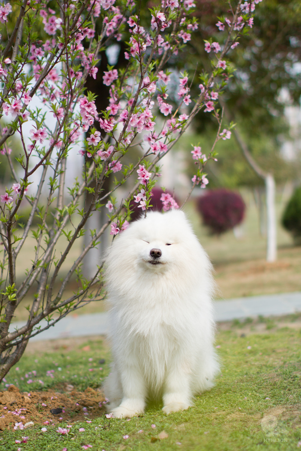 Canon EOS 7D + Canon EF 50mm F1.2L USM sample photo. Doudou photography