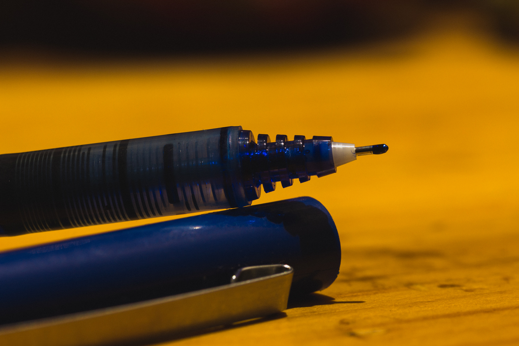 Canon EF-S 60mm F2.8 Macro USM sample photo. Ink point photography