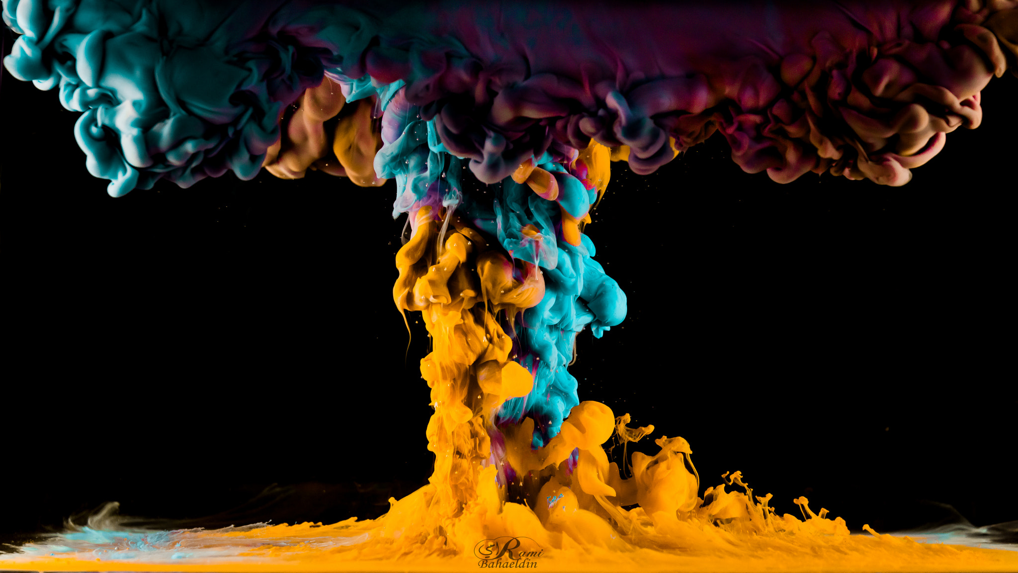 Sony SLT-A77 sample photo. Color explosion photography