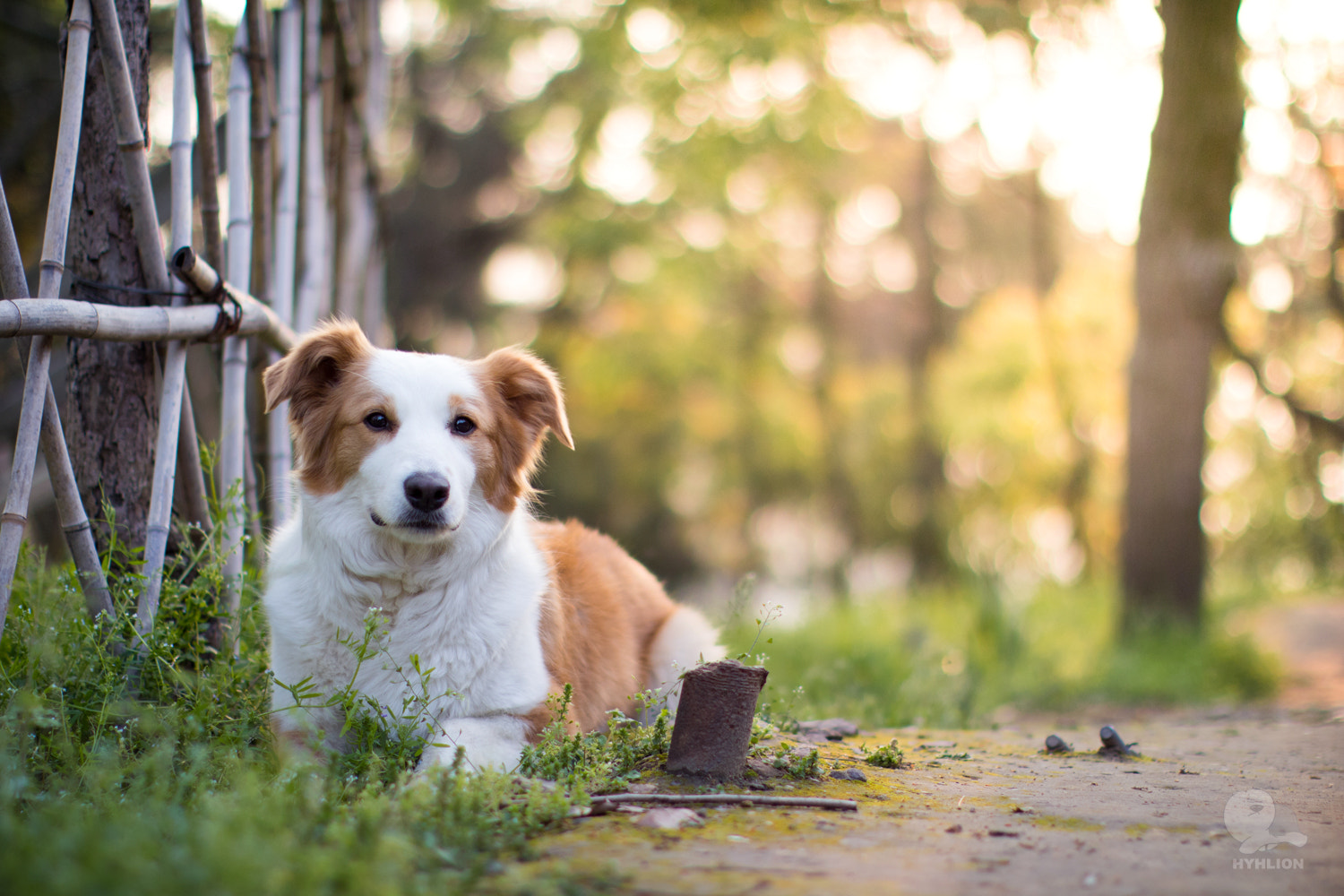 Canon EOS M2 + Canon EF 50mm F1.2L USM sample photo. Salsa photography