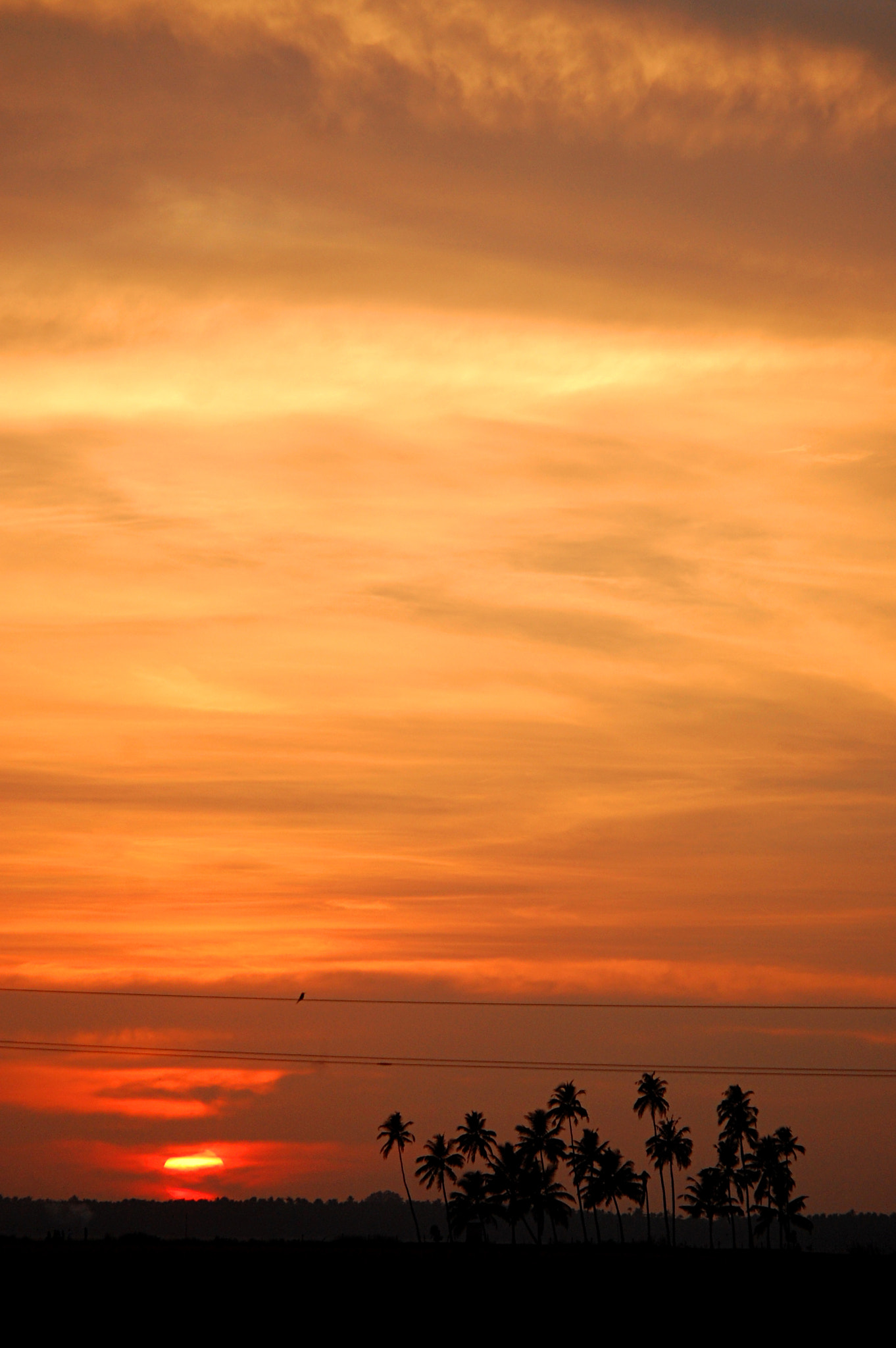 Nikon D40 sample photo. Sunset photography