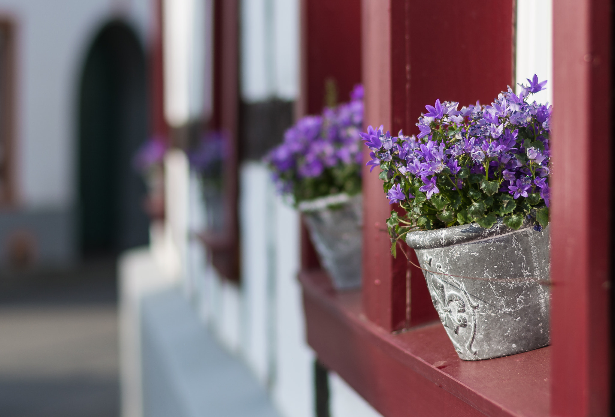 Nikon D5200 + Nikon AF-S Nikkor 50mm F1.8G sample photo. Fensterbank photography