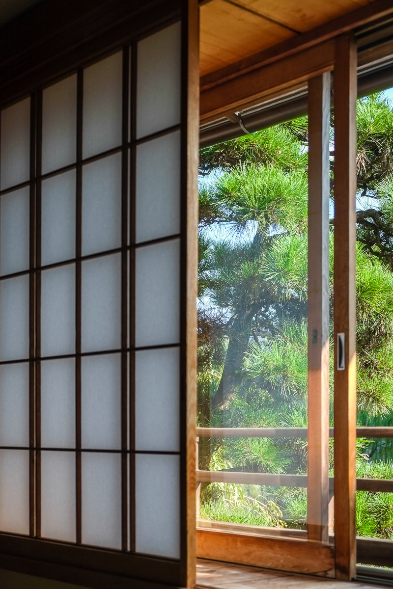 Fujifilm X-E1 + Fujifilm XF 18-55mm F2.8-4 R LM OIS sample photo