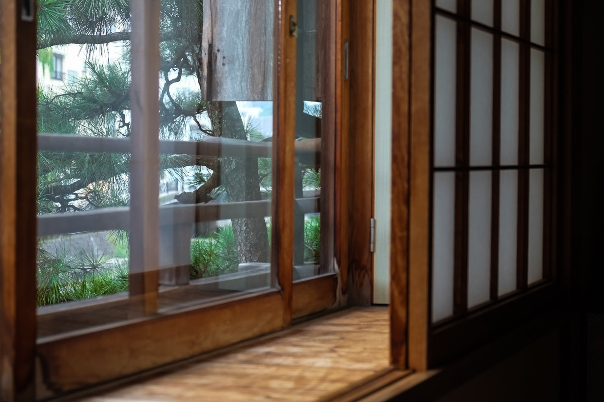 Fujifilm X-E1 + Fujifilm XF 18-55mm F2.8-4 R LM OIS sample photo