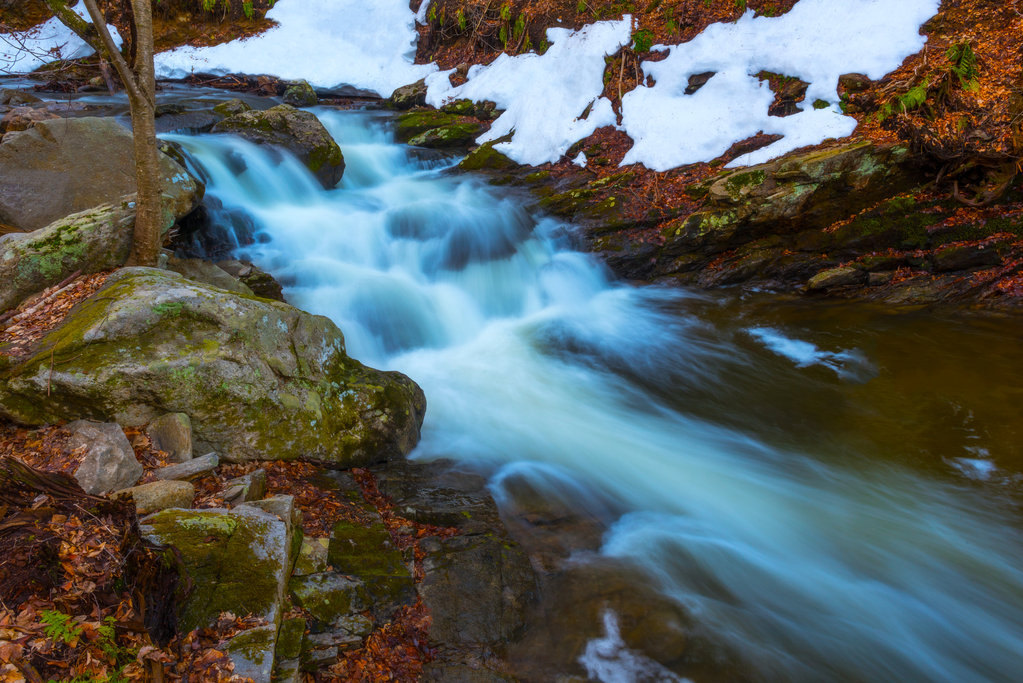 Nikon D750 sample photo. Winter flowing into spring photography