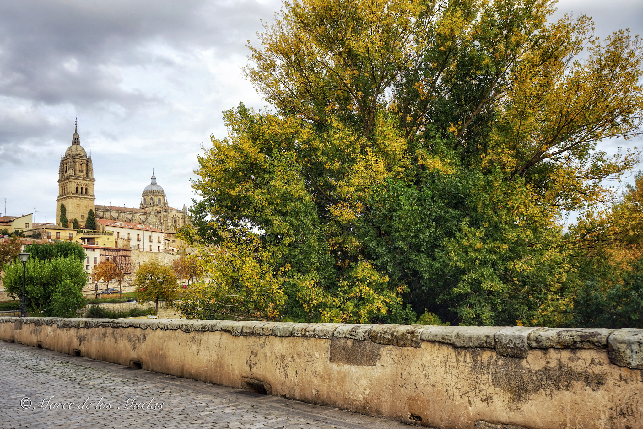 Sony a7R + Sony FE 28-70mm F3.5-5.6 OSS sample photo. Salamanca   spain photography