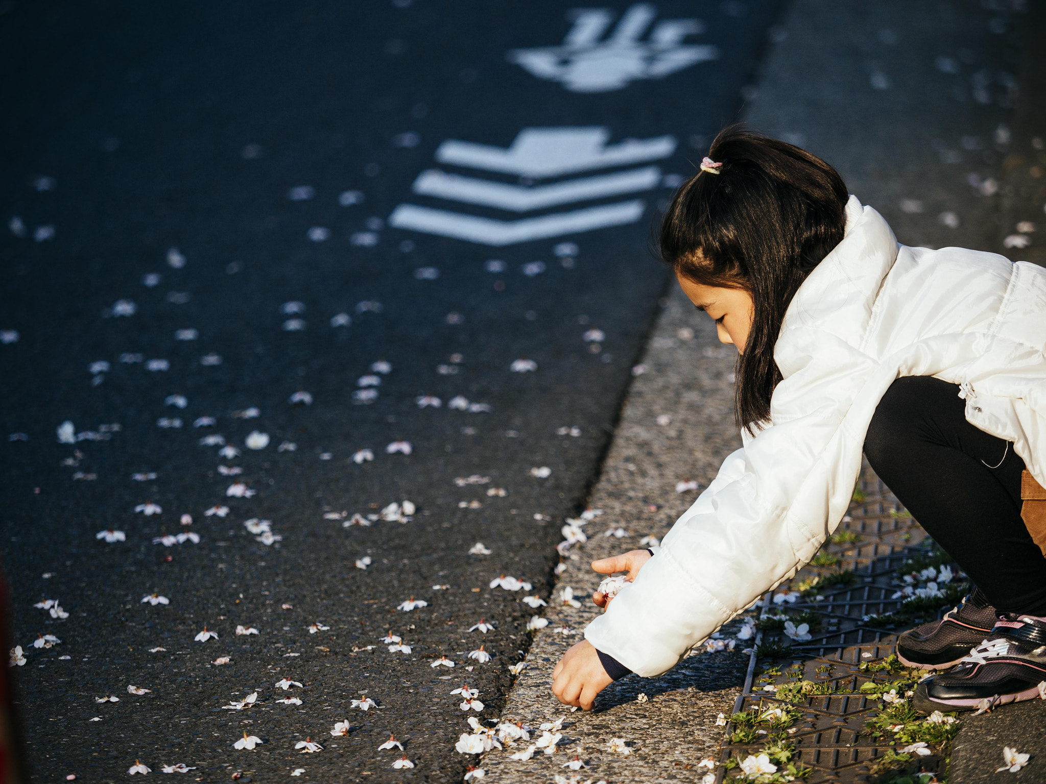 Olympus OM-D E-M1 Mark II sample photo. Cherry blossom petals and girl photography