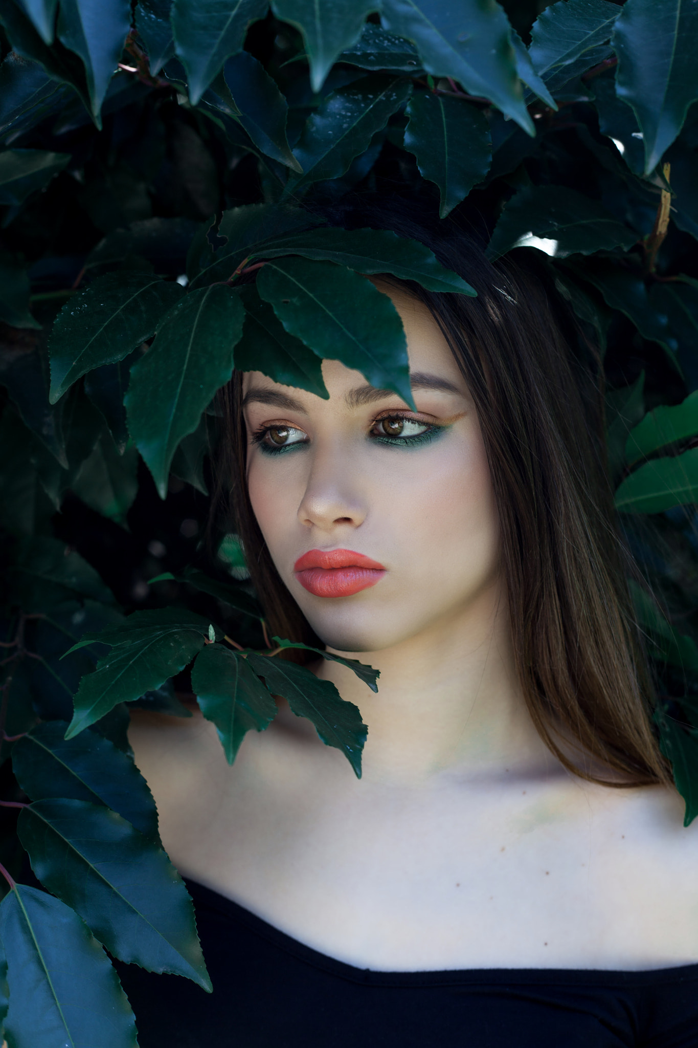 Canon EF 50mm F1.8 II sample photo. Blue ivy photography