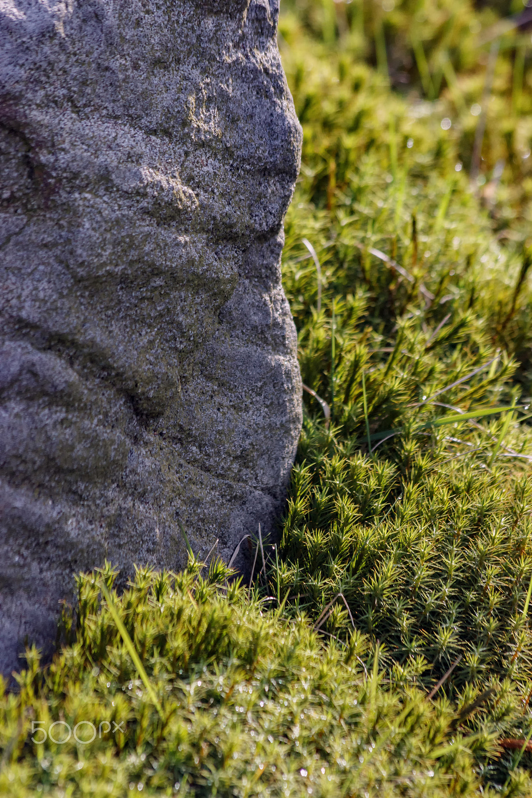 Canon EF 70-300mm F4-5.6 IS USM sample photo. Millstone grit photography