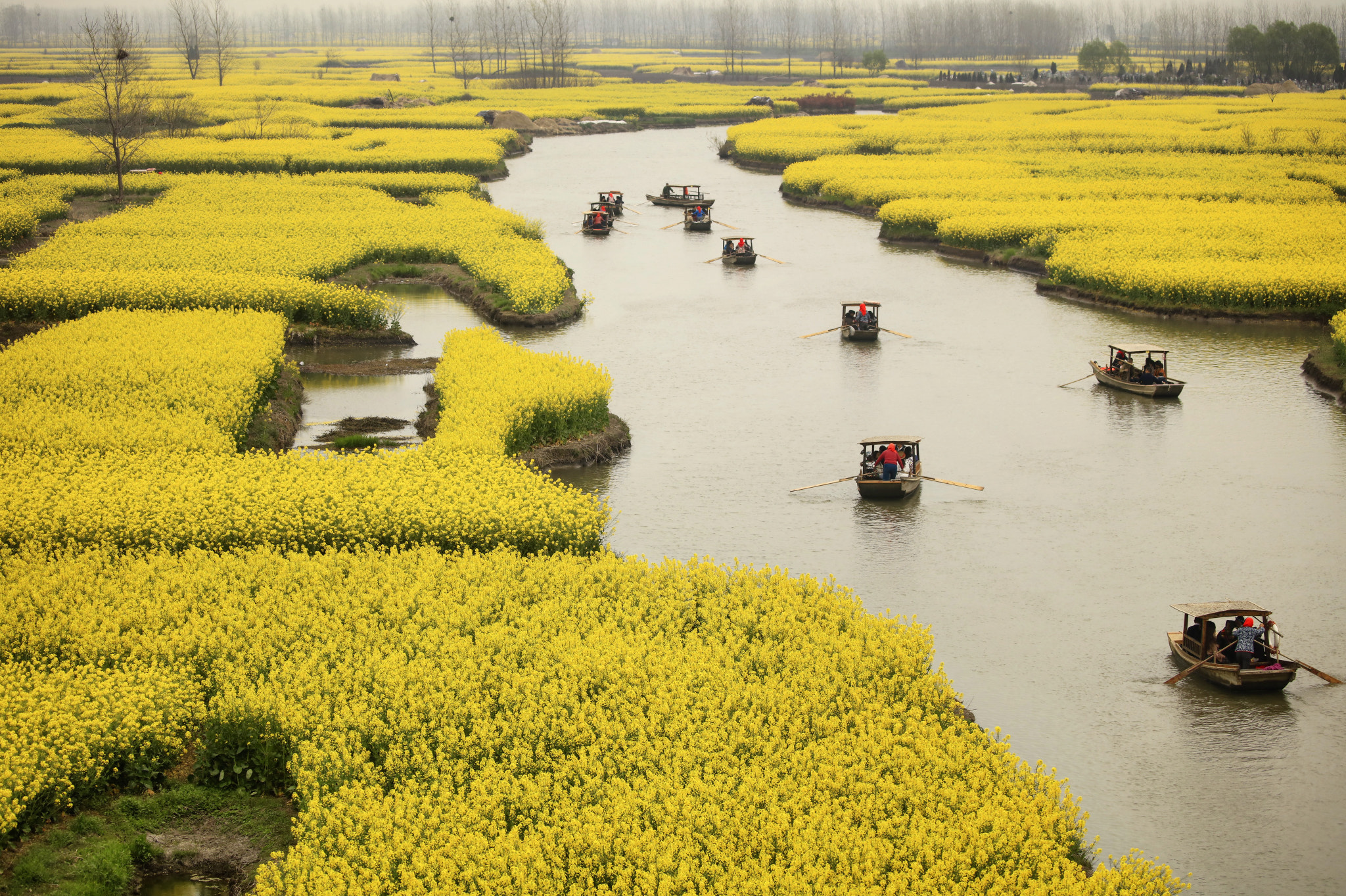 Canon EOS 5DS R sample photo. 烟花三月下扬州，就是这个意思了 photography