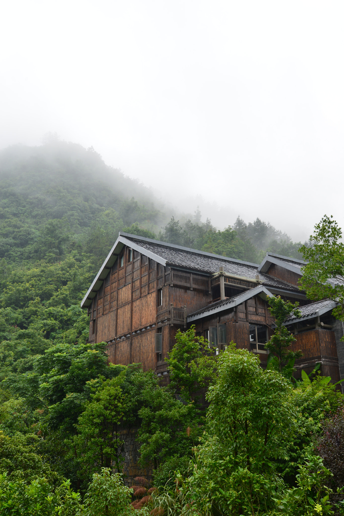 Nikon D600 sample photo. 山居 photography