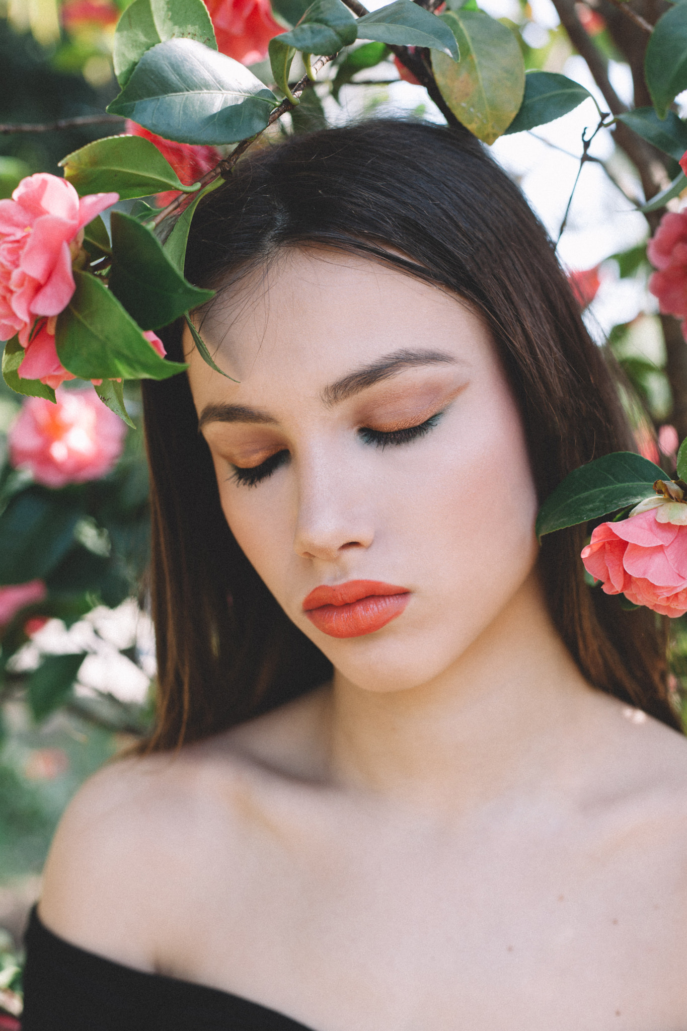 Canon EF 50mm F1.8 II sample photo. Camelia ii photography
