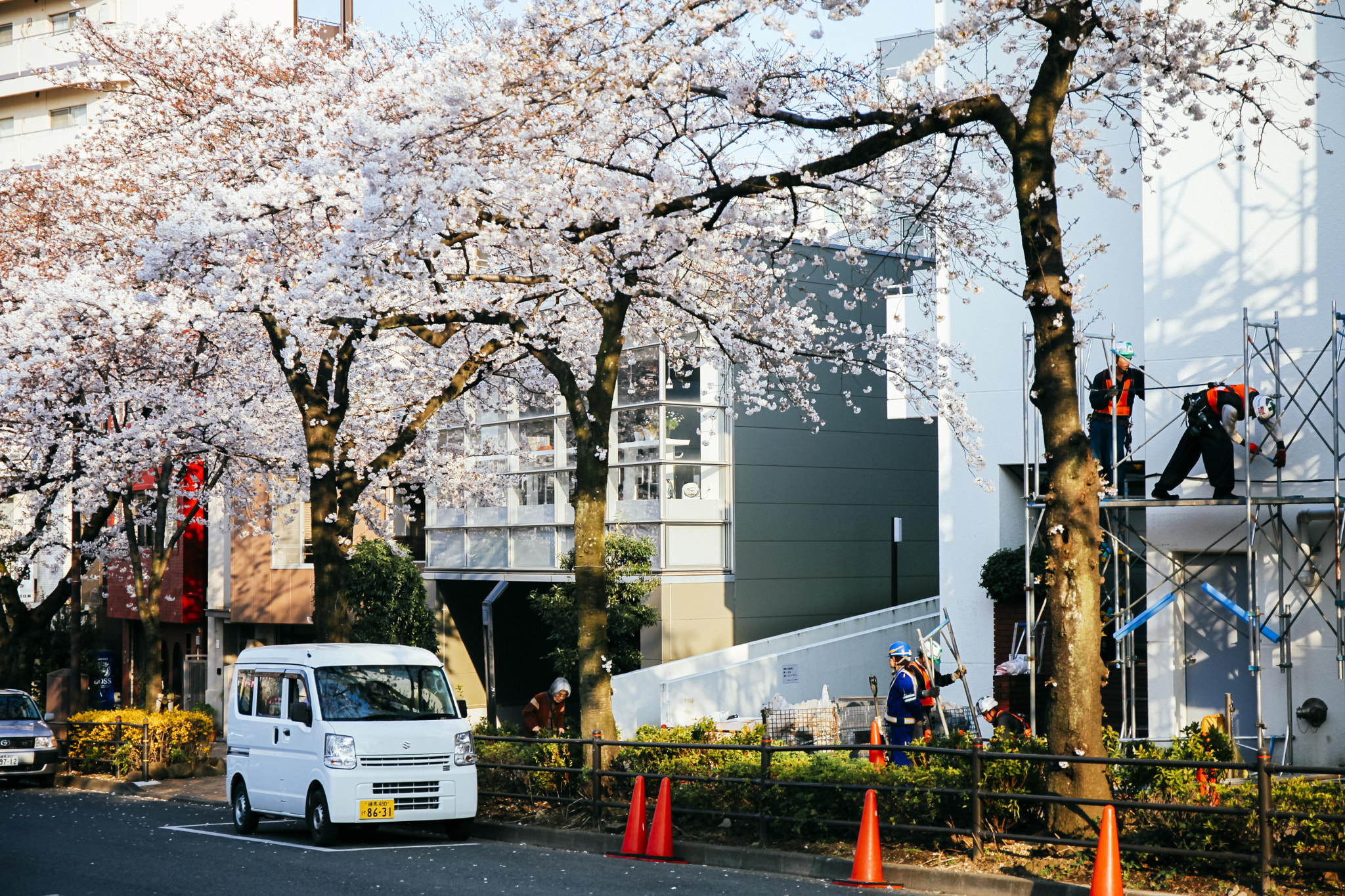 Canon EF 24-70mm F4L IS USM sample photo. Steeplejack and cherry blossoms photography