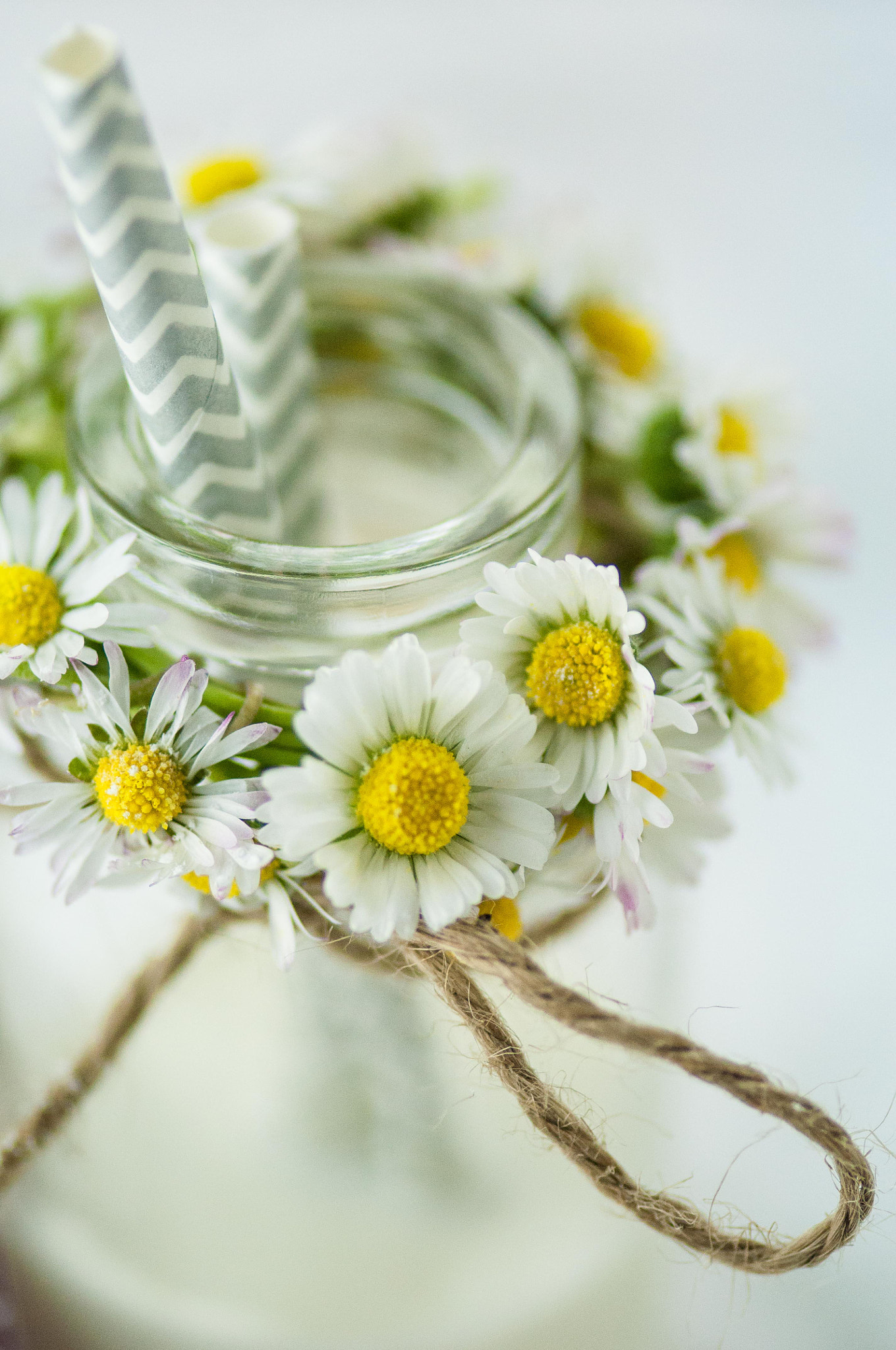 Nikon AF-S Micro-Nikkor 105mm F2.8G IF-ED VR sample photo. Milk and daisies photography