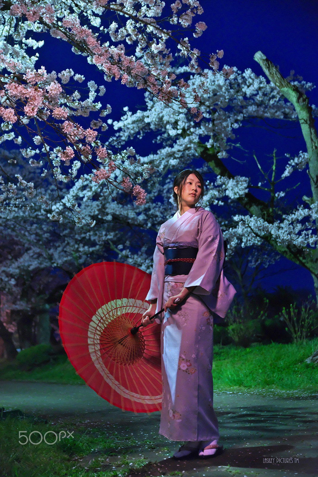 VR 24-105mm F/4.0 G sample photo. Cherry blossoms at night. photography