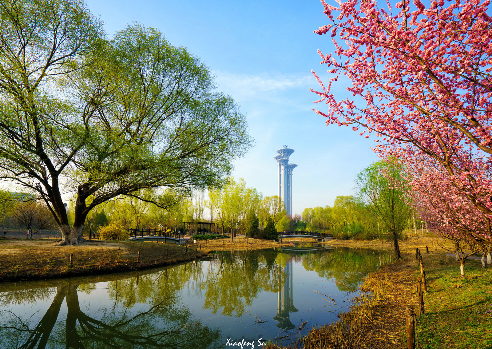Sony a7R II + Sony Vario-Tessar T* FE 16-35mm F4 ZA OSS sample photo. Spring color photography