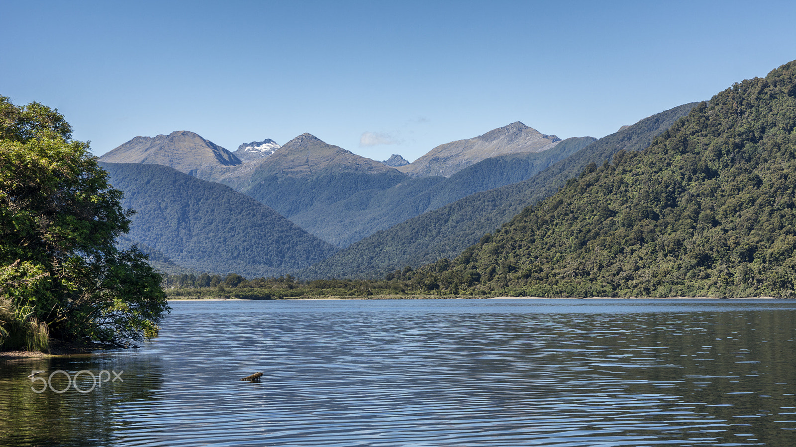 Sigma 17-50mm F2.8 EX DC OS HSM sample photo. Lake moeraki view photography
