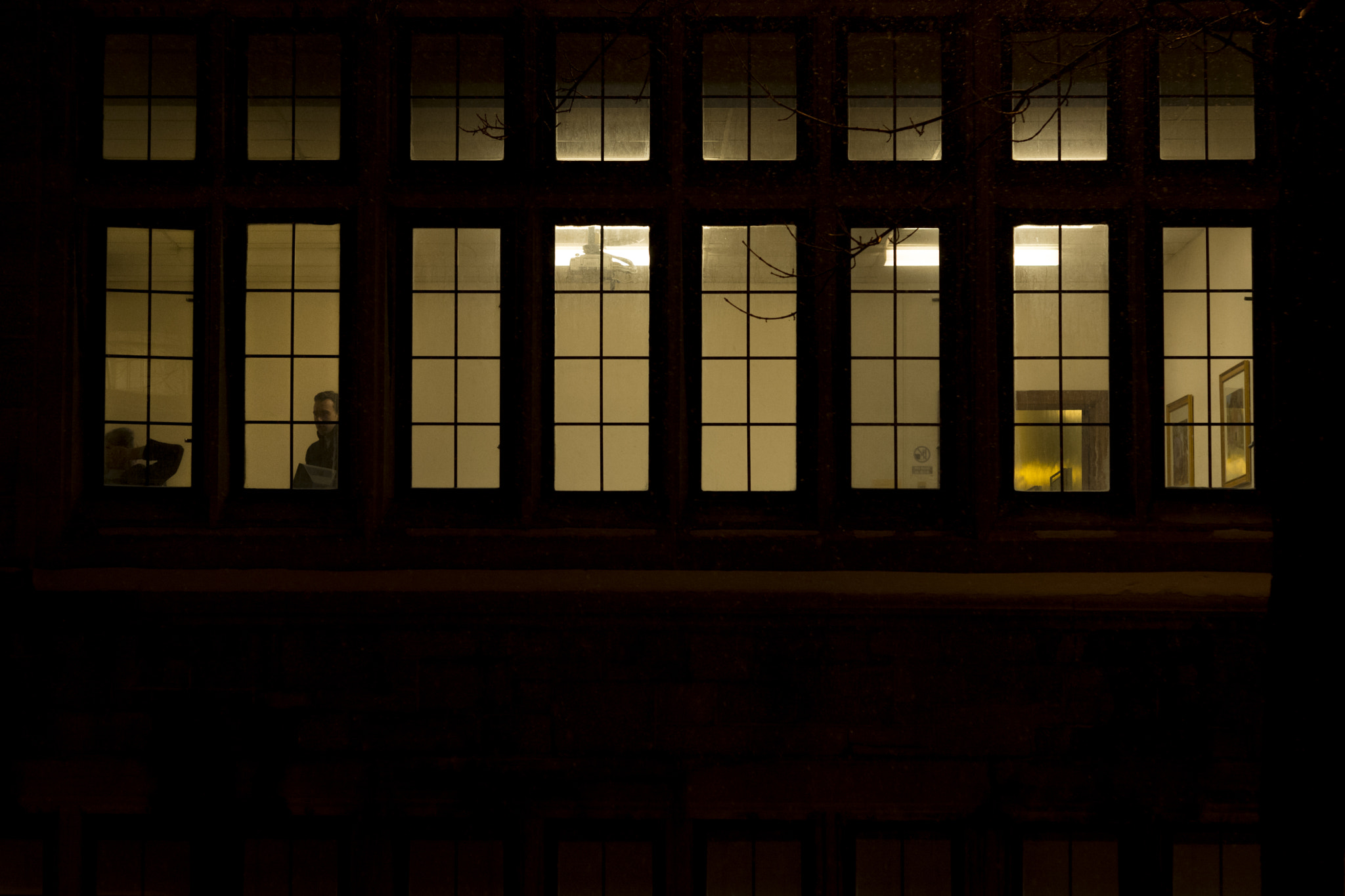 Nikon AF-S Micro-Nikkor 60mm F2.8G ED sample photo. Mcgill photography