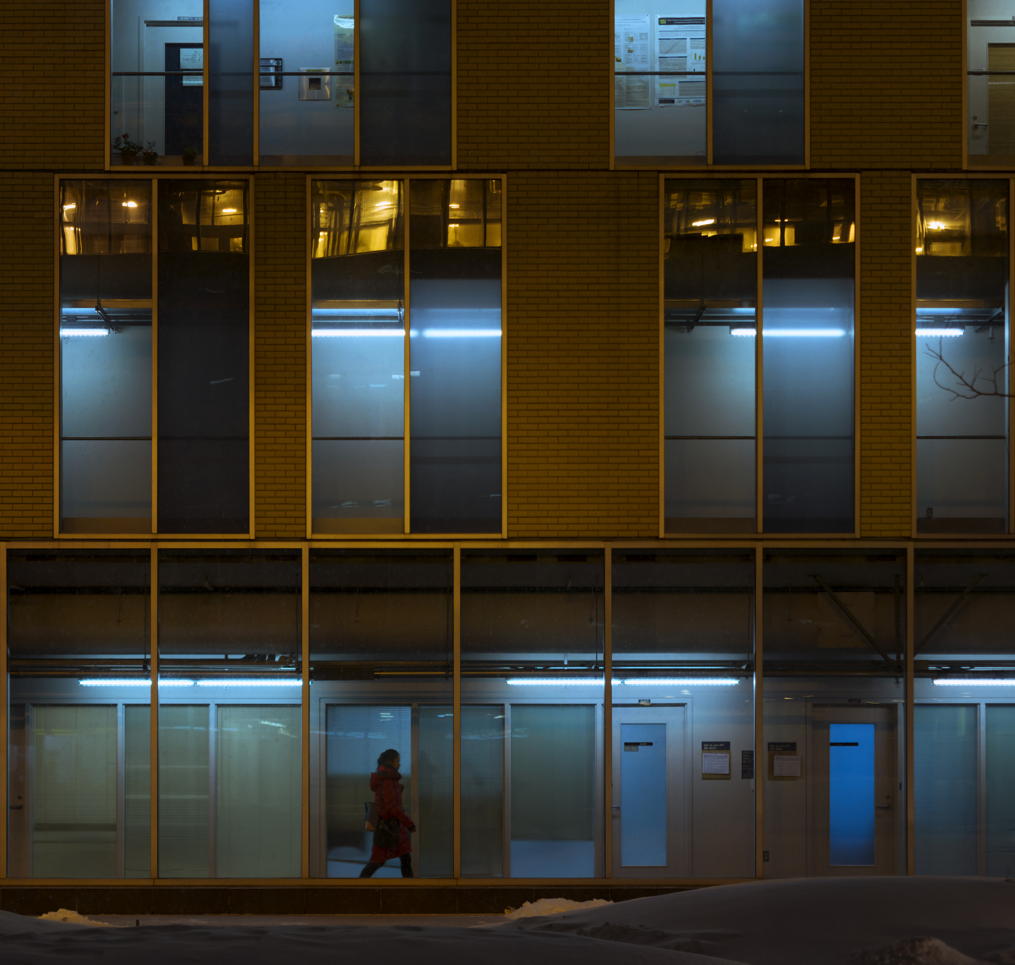 Nikon AF-S Micro-Nikkor 60mm F2.8G ED sample photo. Uqam photography