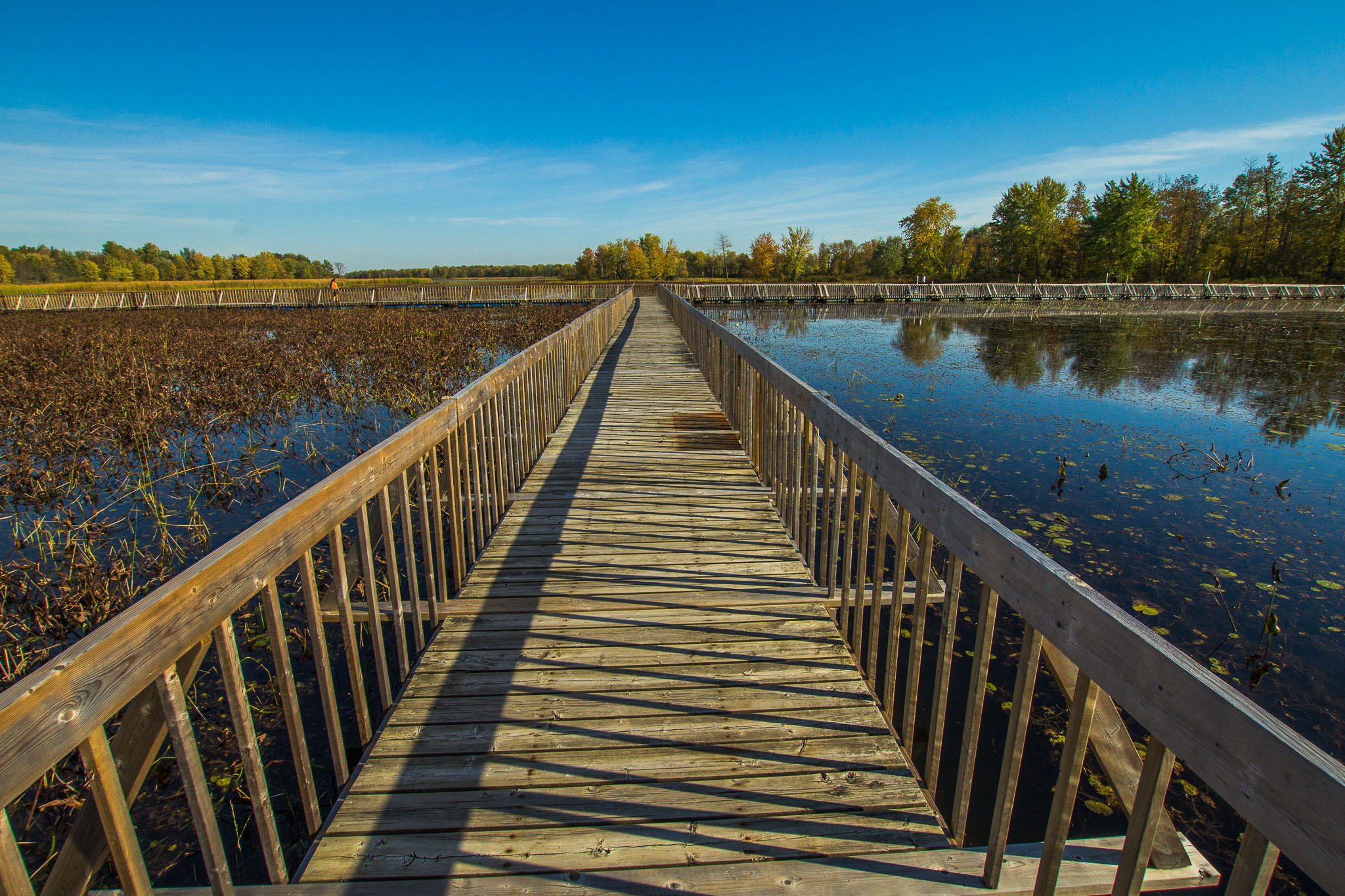 Canon EOS 60D sample photo. Boardwalk photography